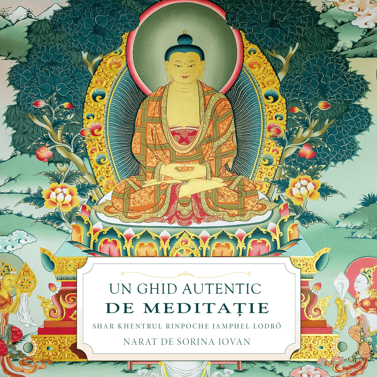 Un Ghid Autentic de Meditație