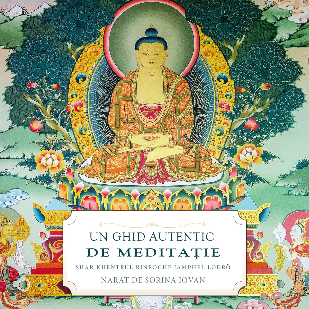 Un Ghid Autentic de Meditație