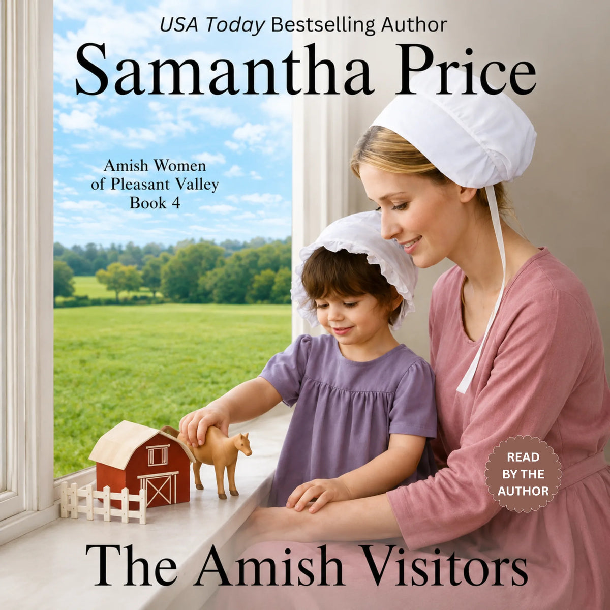 The Amish Visitors