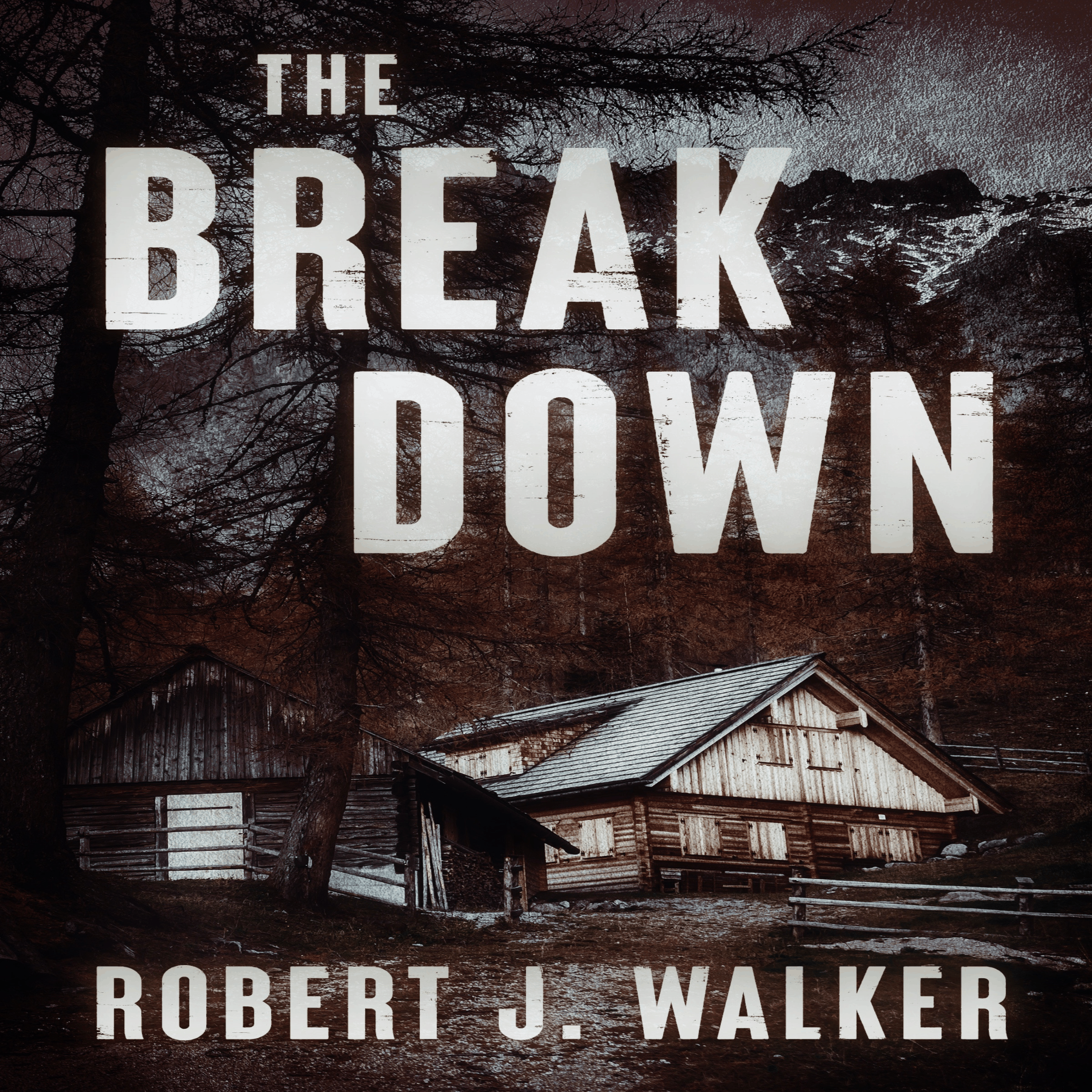 The BreakDown