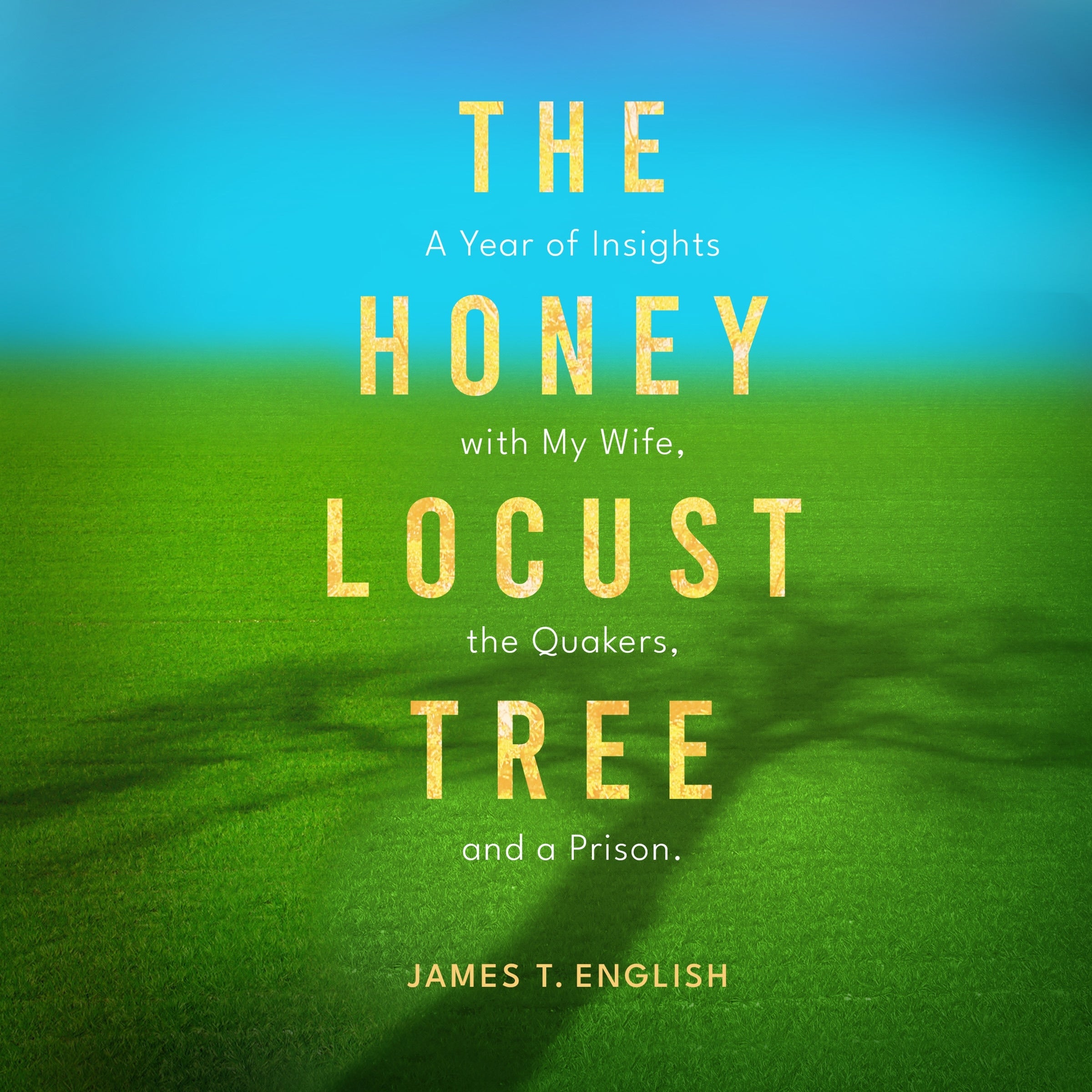 The Honey Locust Tree