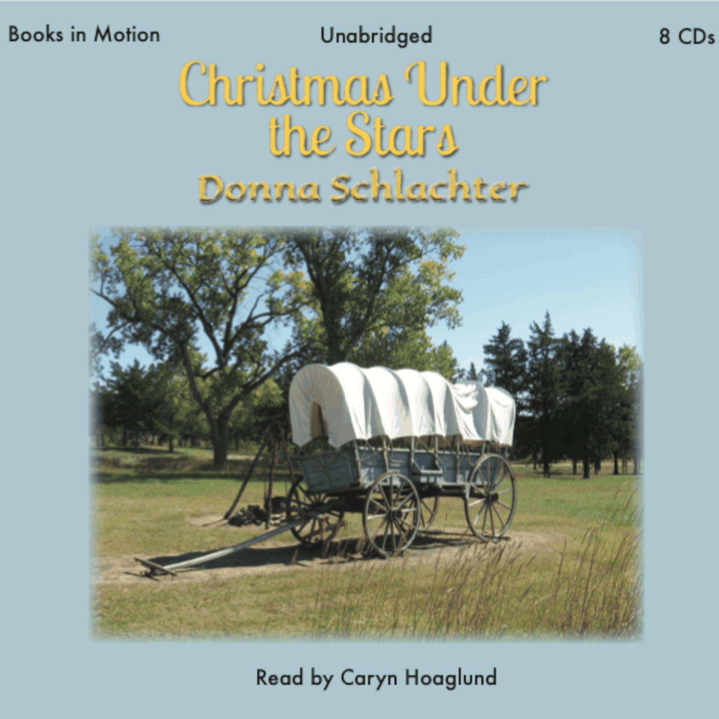 Christmas Under The Stars