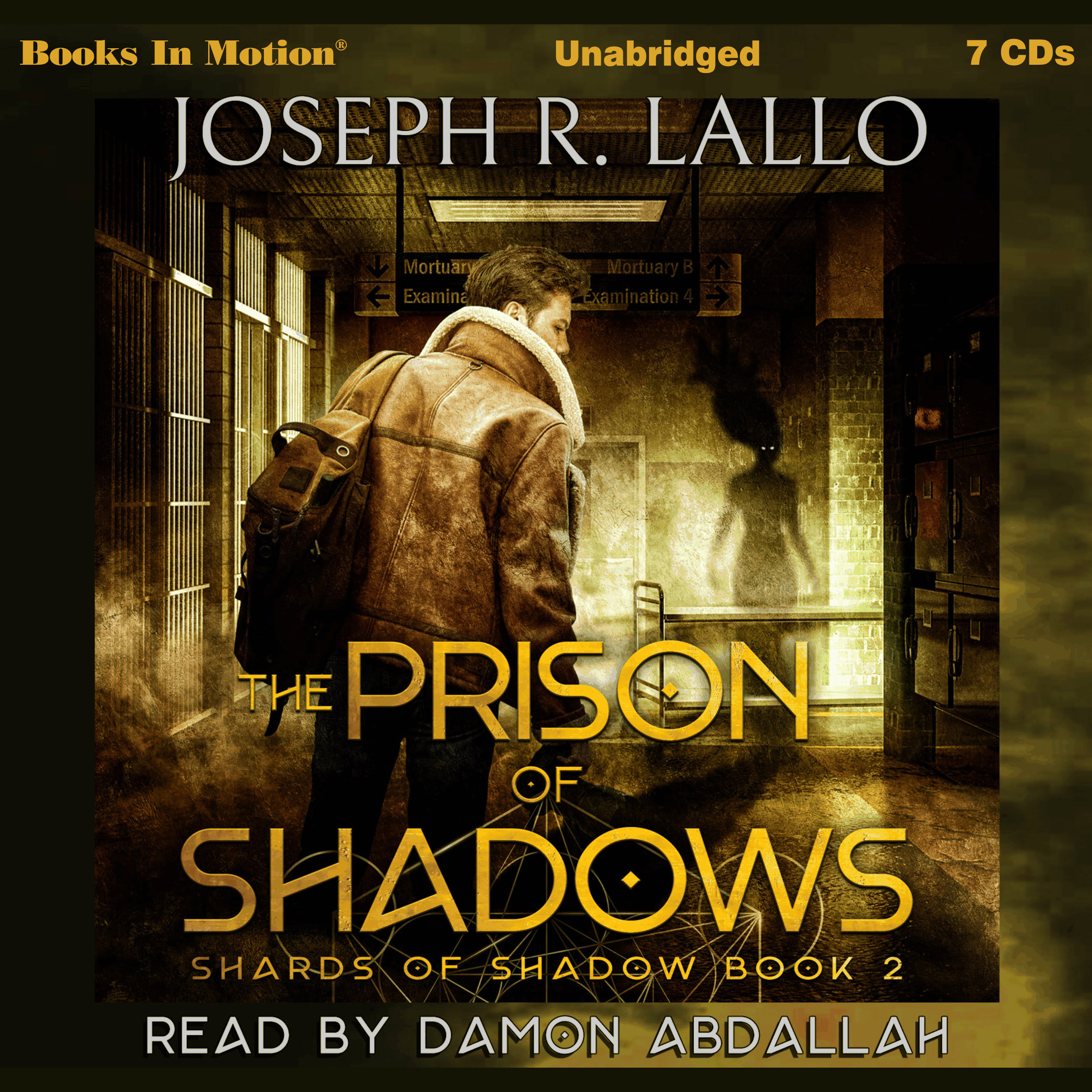 The Prison Of Shadows (Shards Of Shadows, Book 2)