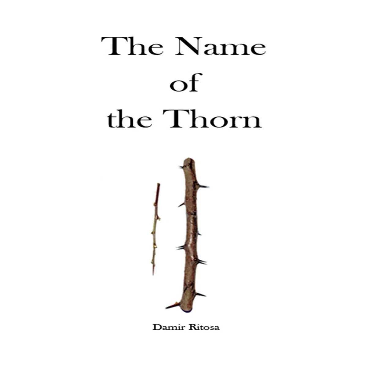 The Name of the Thorn