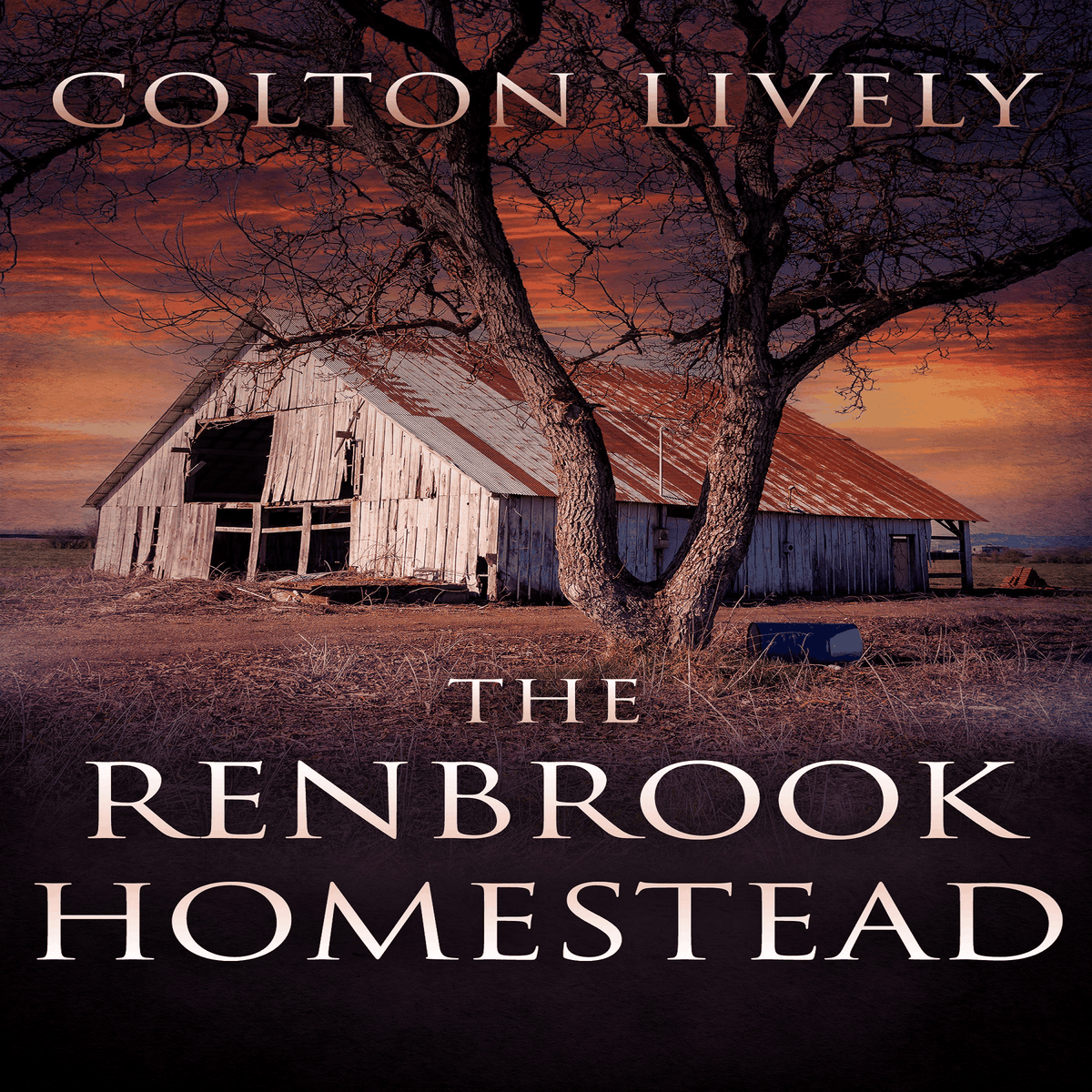 The Renbrook Homestead: A Small Town Post Apocalypse EMP Thriller