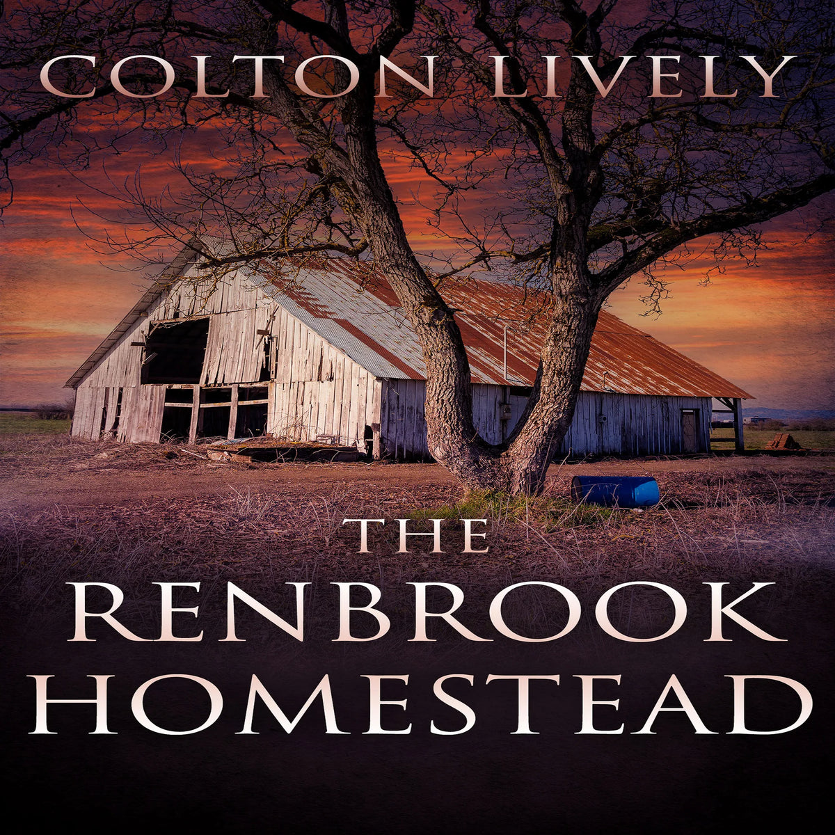 The Renbrook Homestead: A Small Town Post Apocalypse EMP Thriller