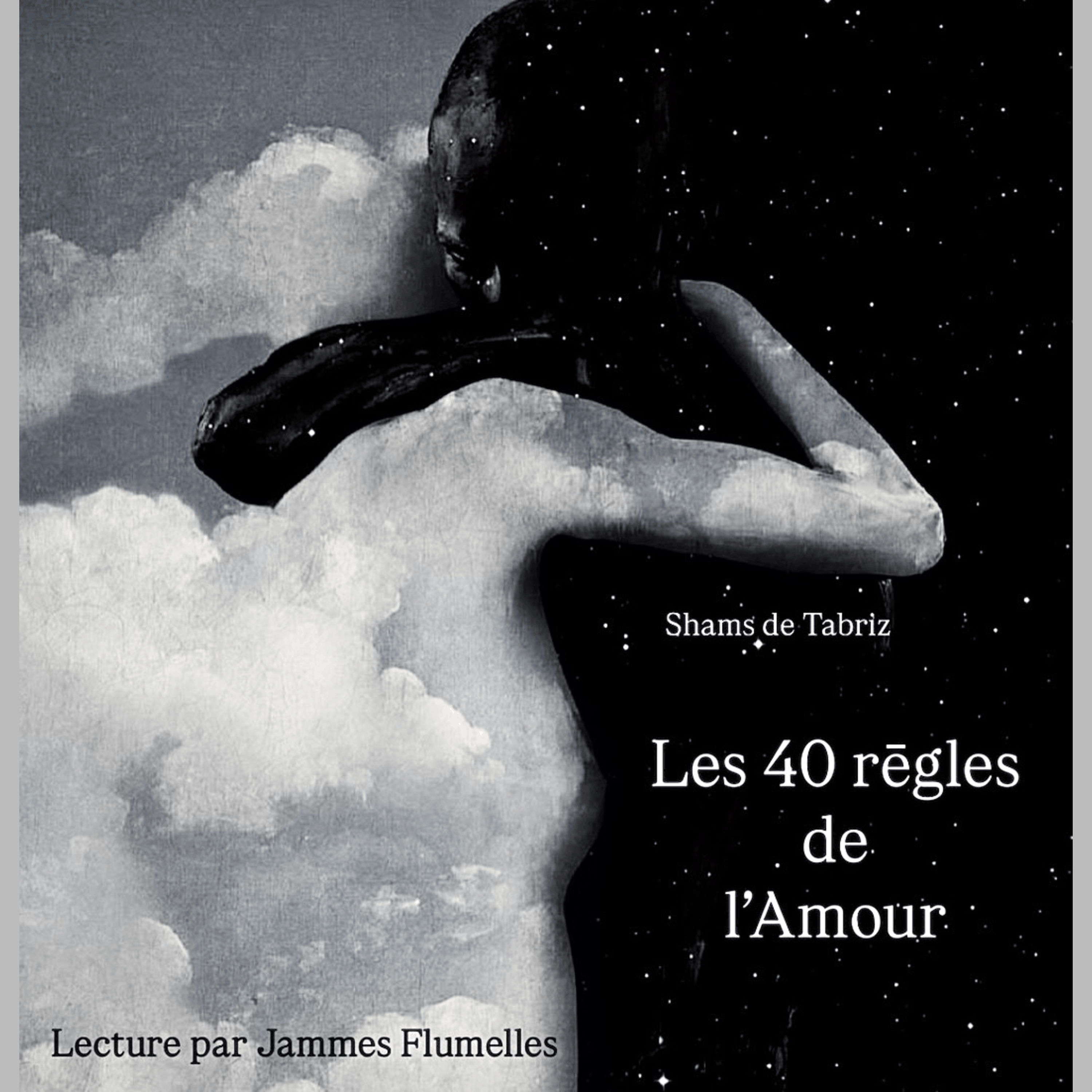 Les 40 règles de l’Amour