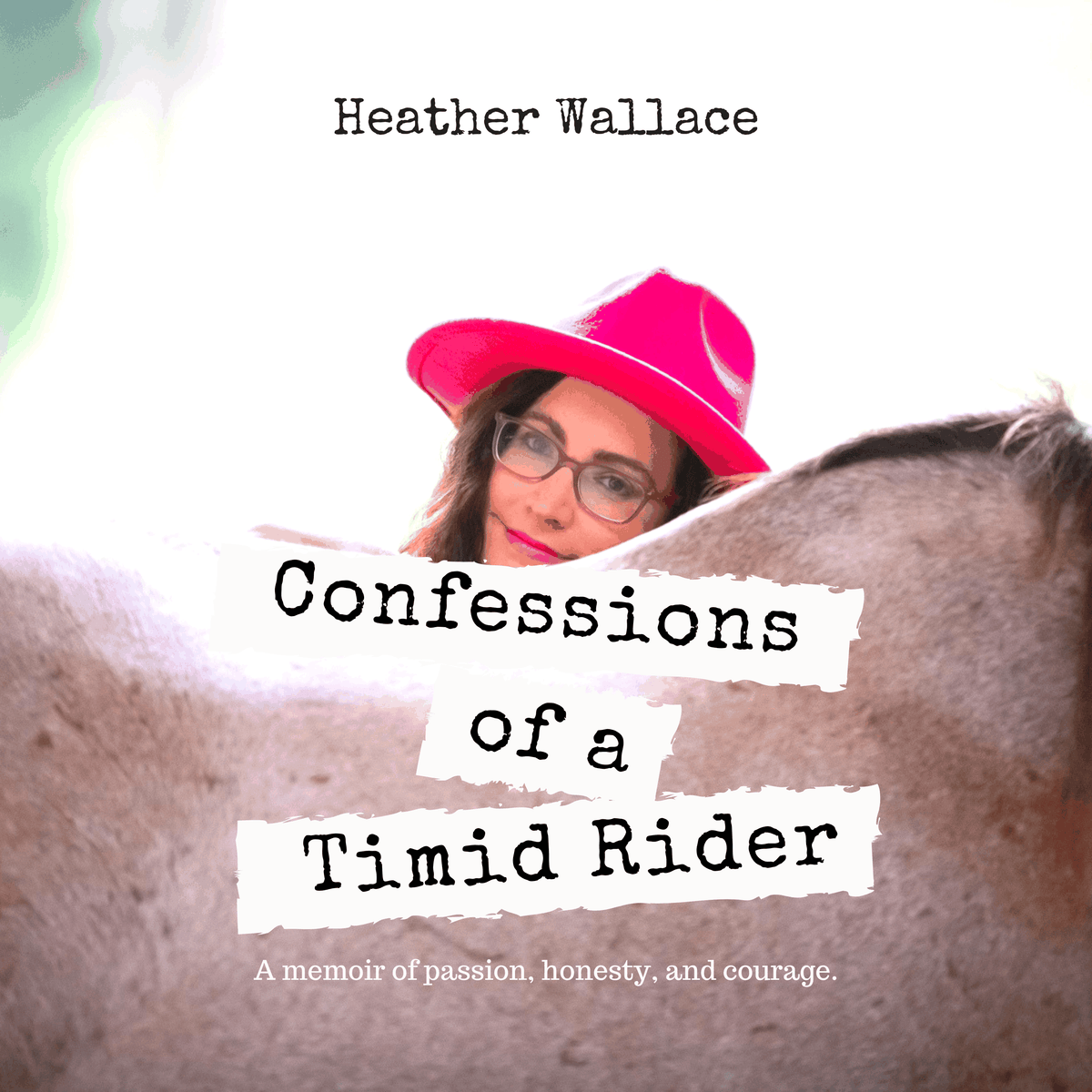 Confessions of a Timid Rider