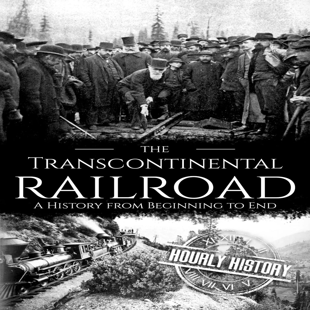 The Transcontinental Railroad