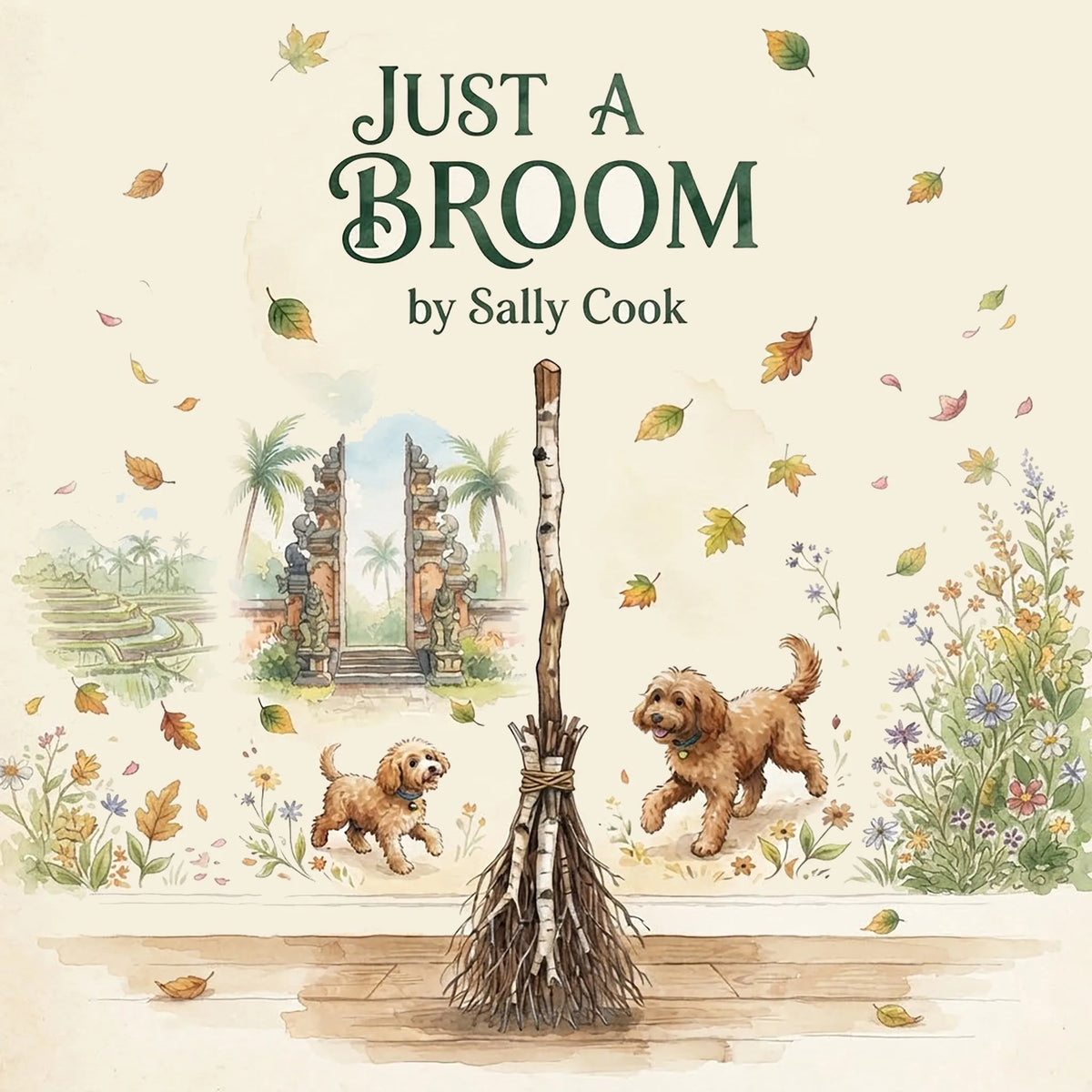 Just A Broom