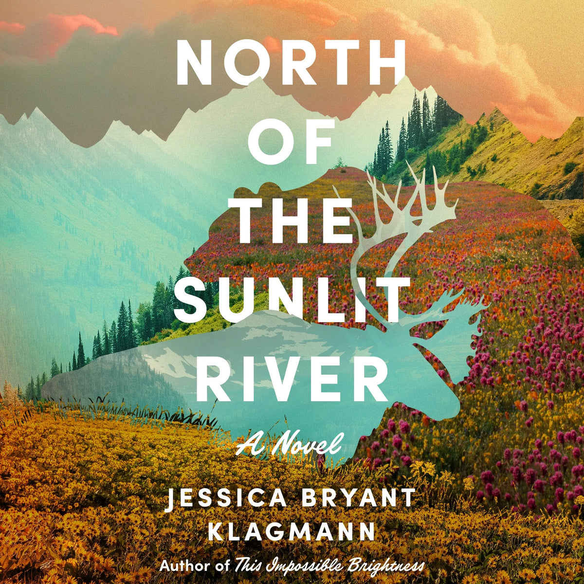 North of the Sunlit River