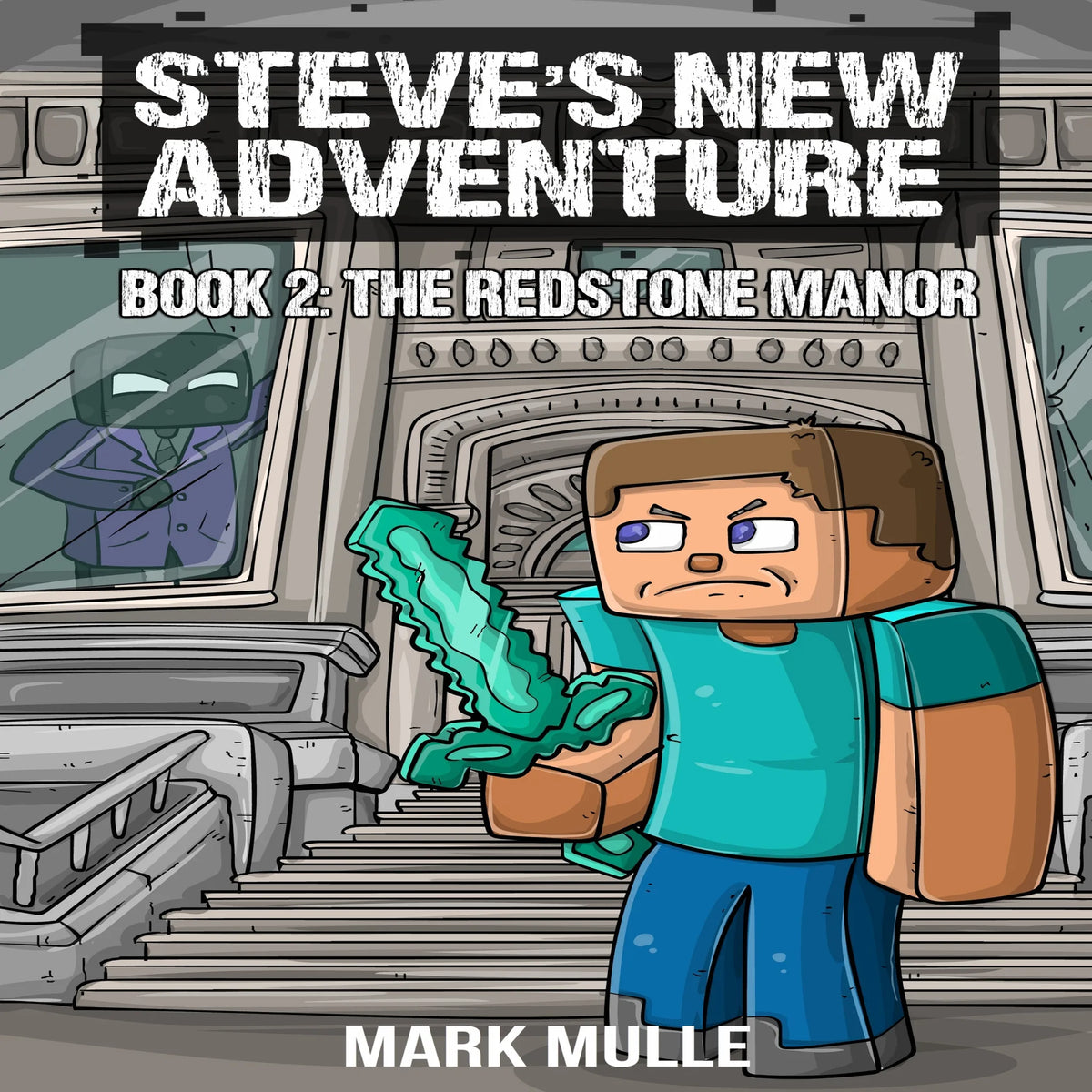 Steve’s New Adventure Book 2