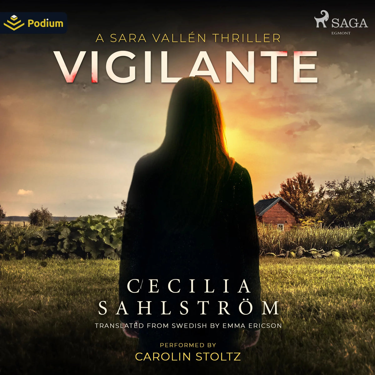 Vigilante: A Sara Vallén Thriller