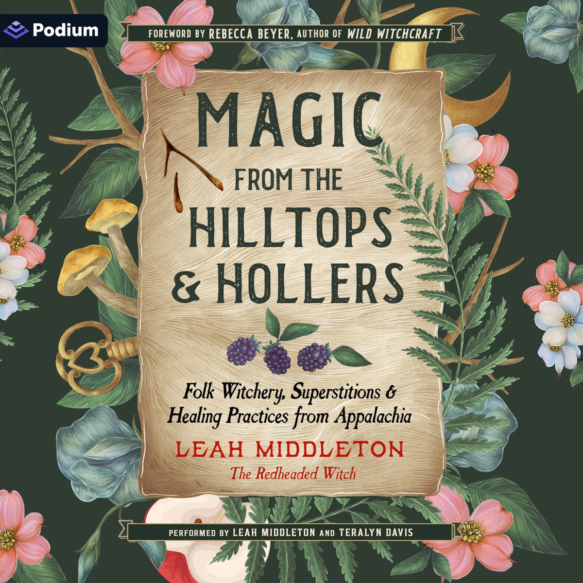 Magic from the Hilltops and Hollers