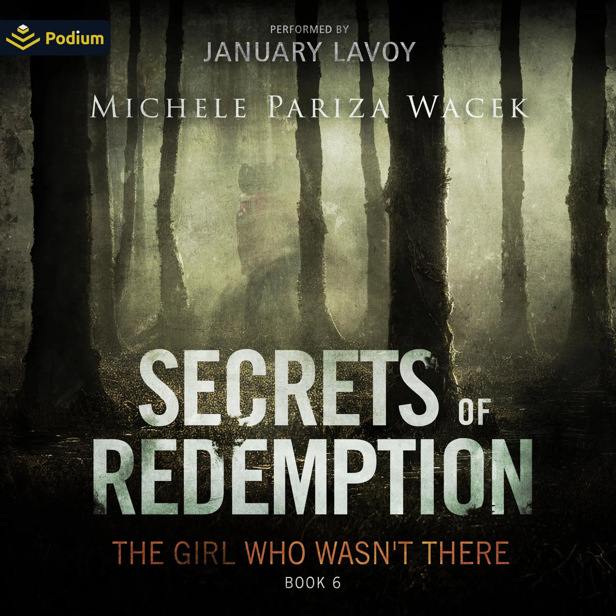 The Girl Who Wasn't There