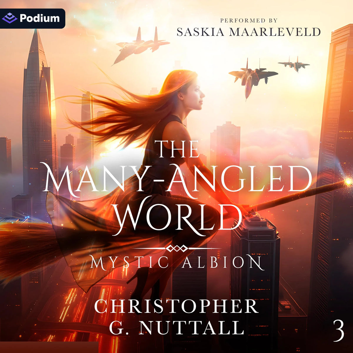 The Many-Angled World