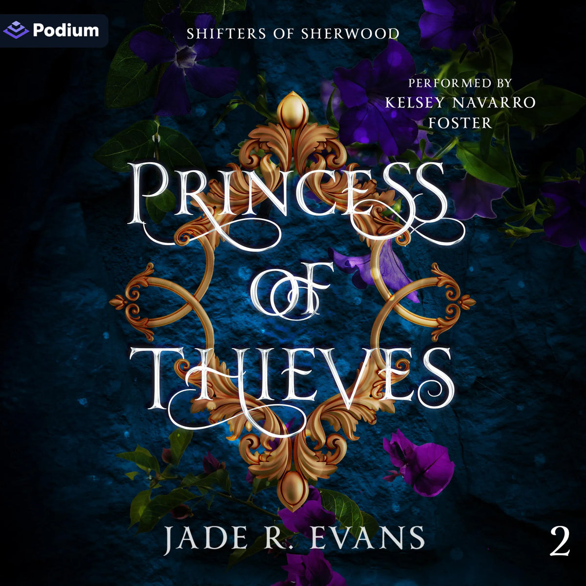 Princess of Thieves