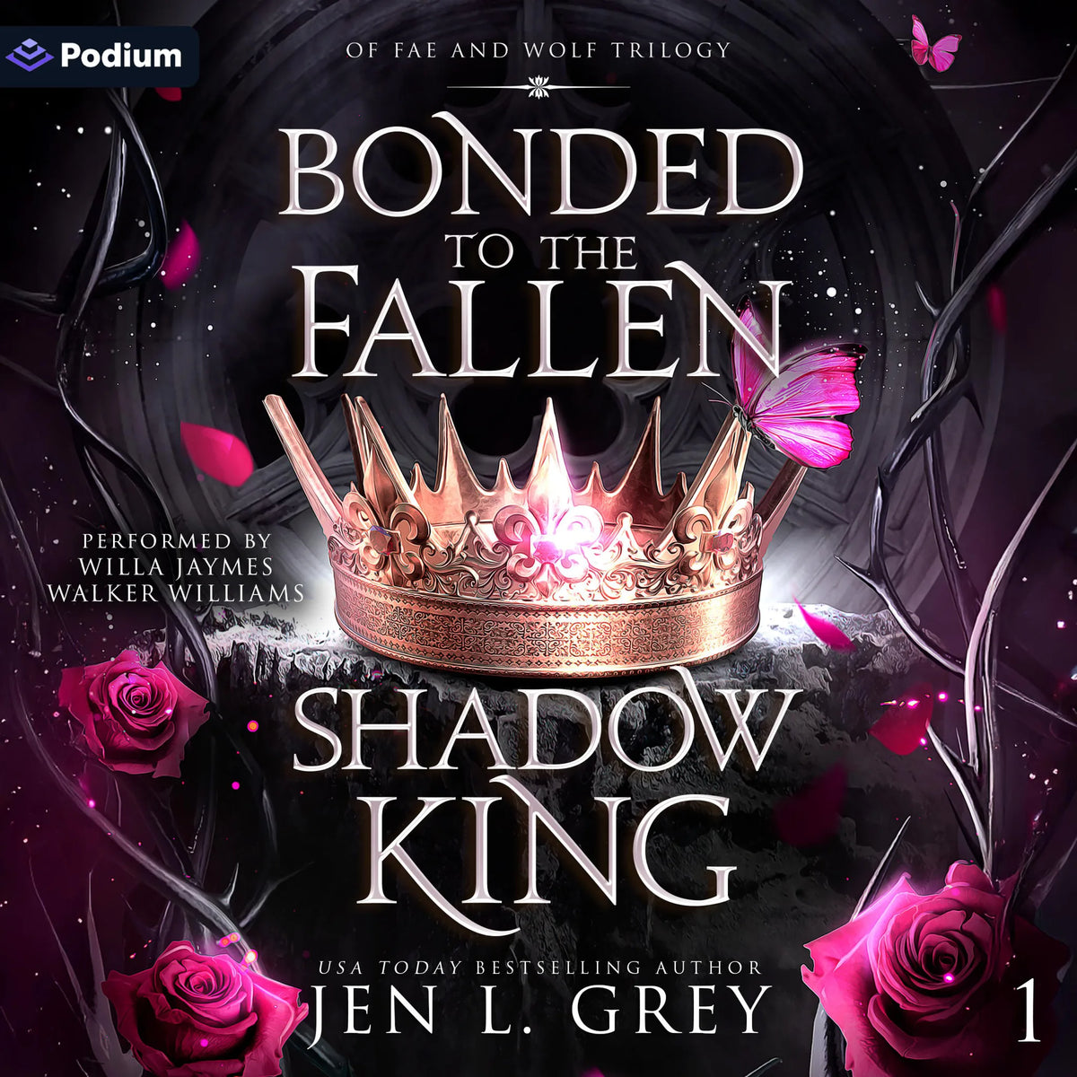 Bonded to the Fallen Shadow King