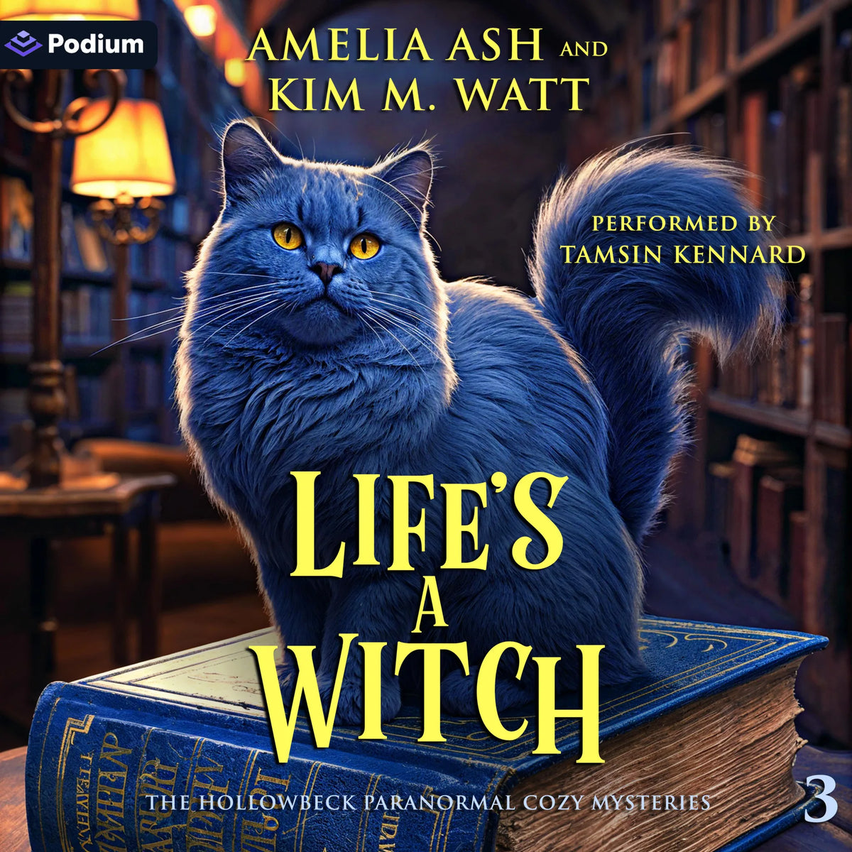 Life's a Witch