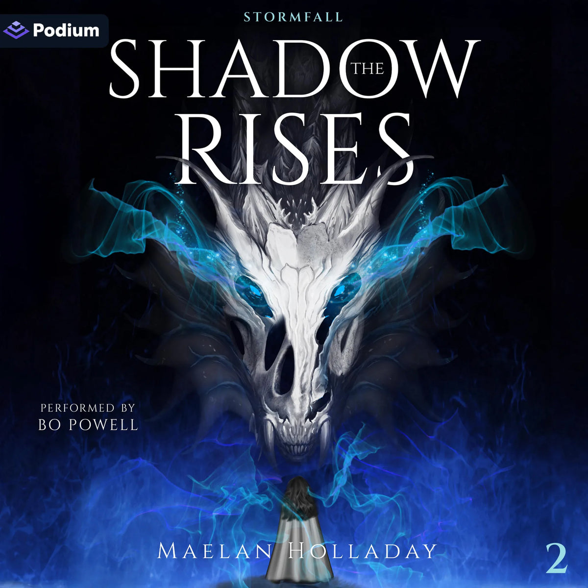The Shadow Rises