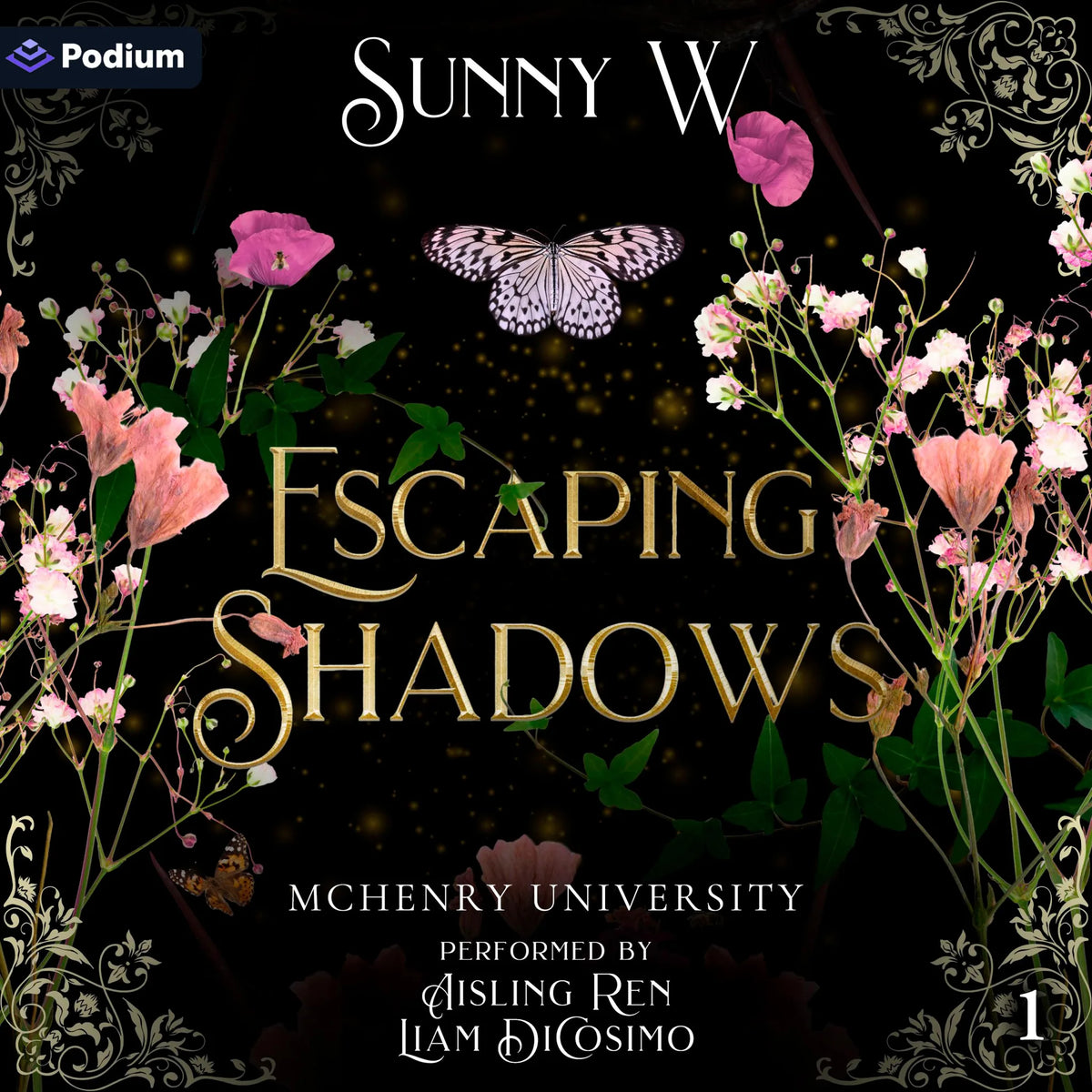 Escaping Shadows