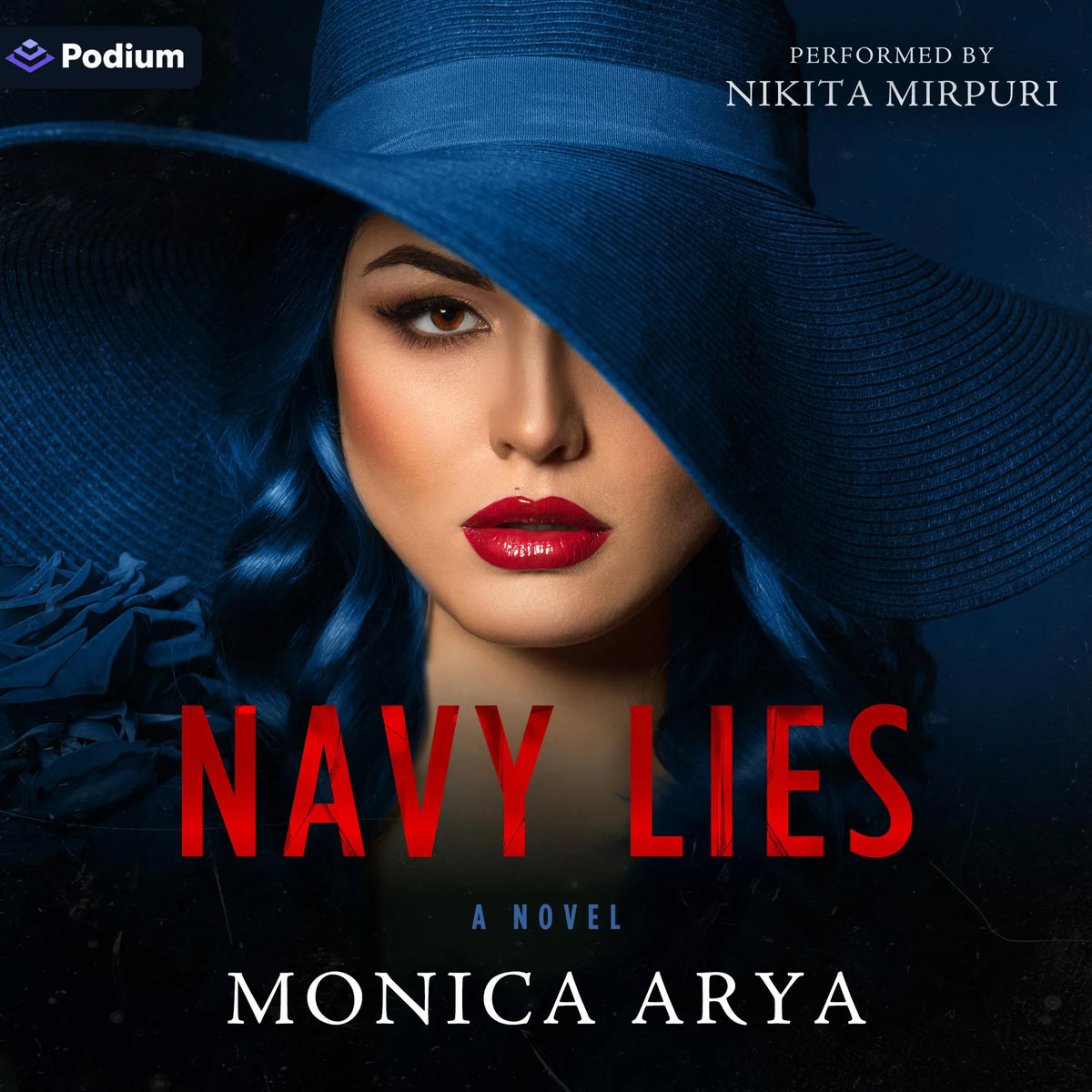 Navy Lies