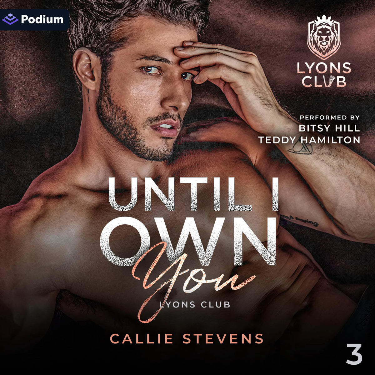 Until I Own You: A Stepbrother Romance