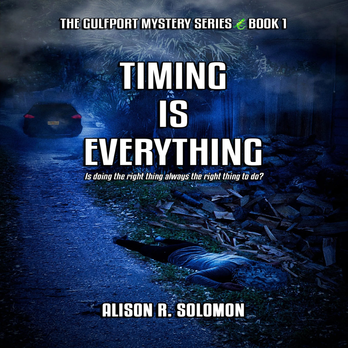 Timing Is Everything: The Gulfport Mystery Series