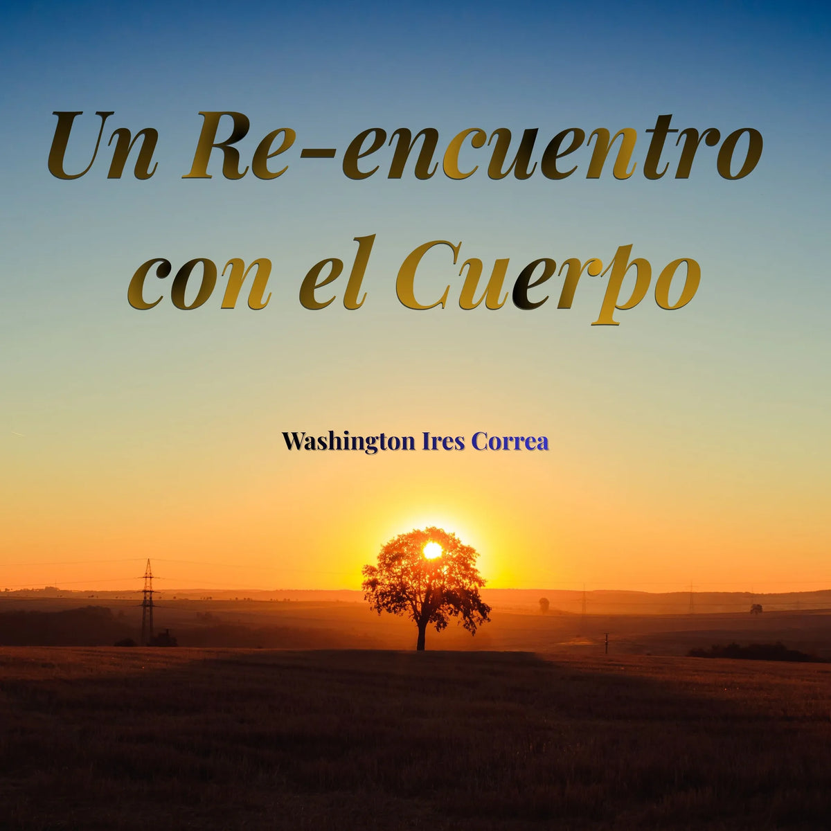 Un Re-encuentro con el cuerpo