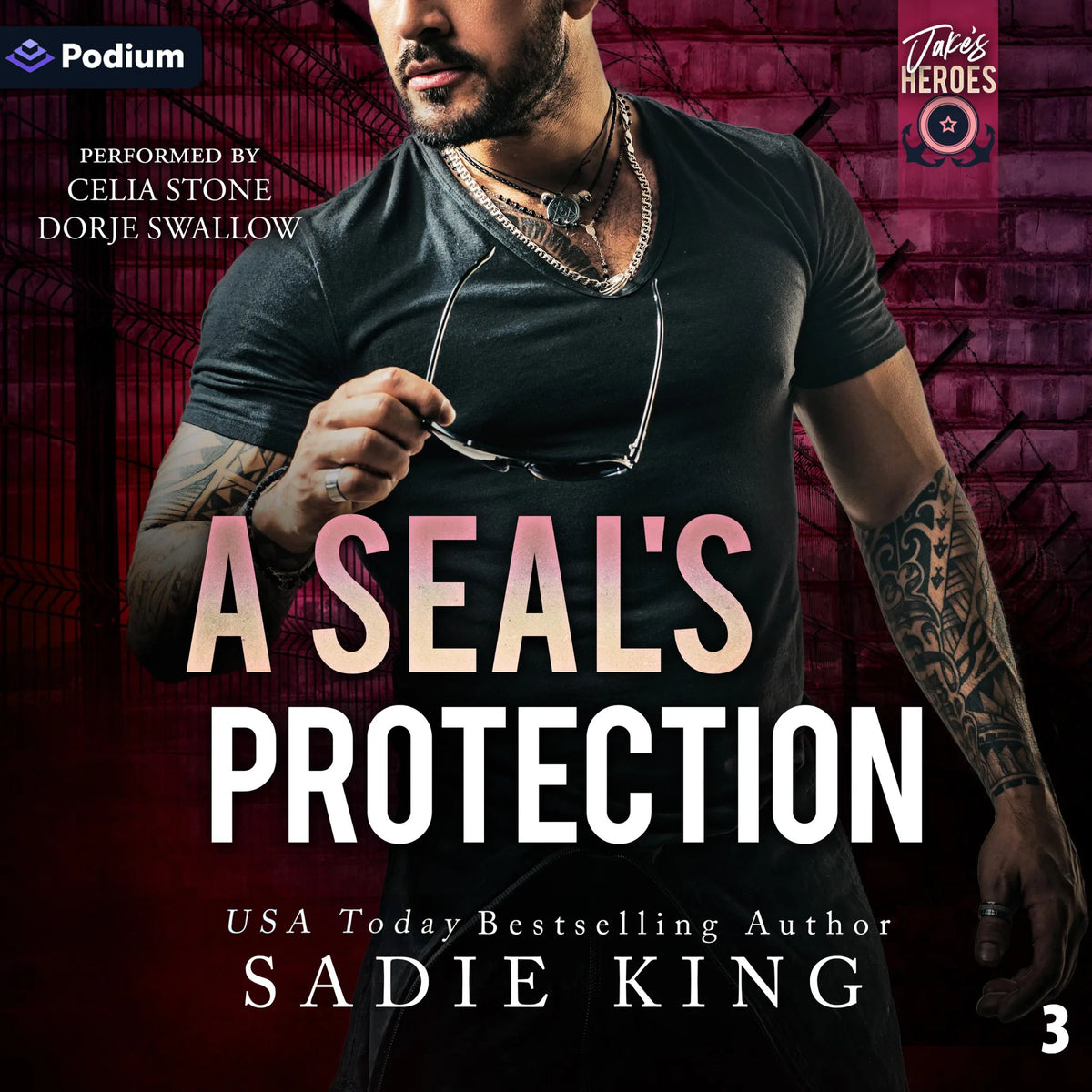 A SEAL's Protection