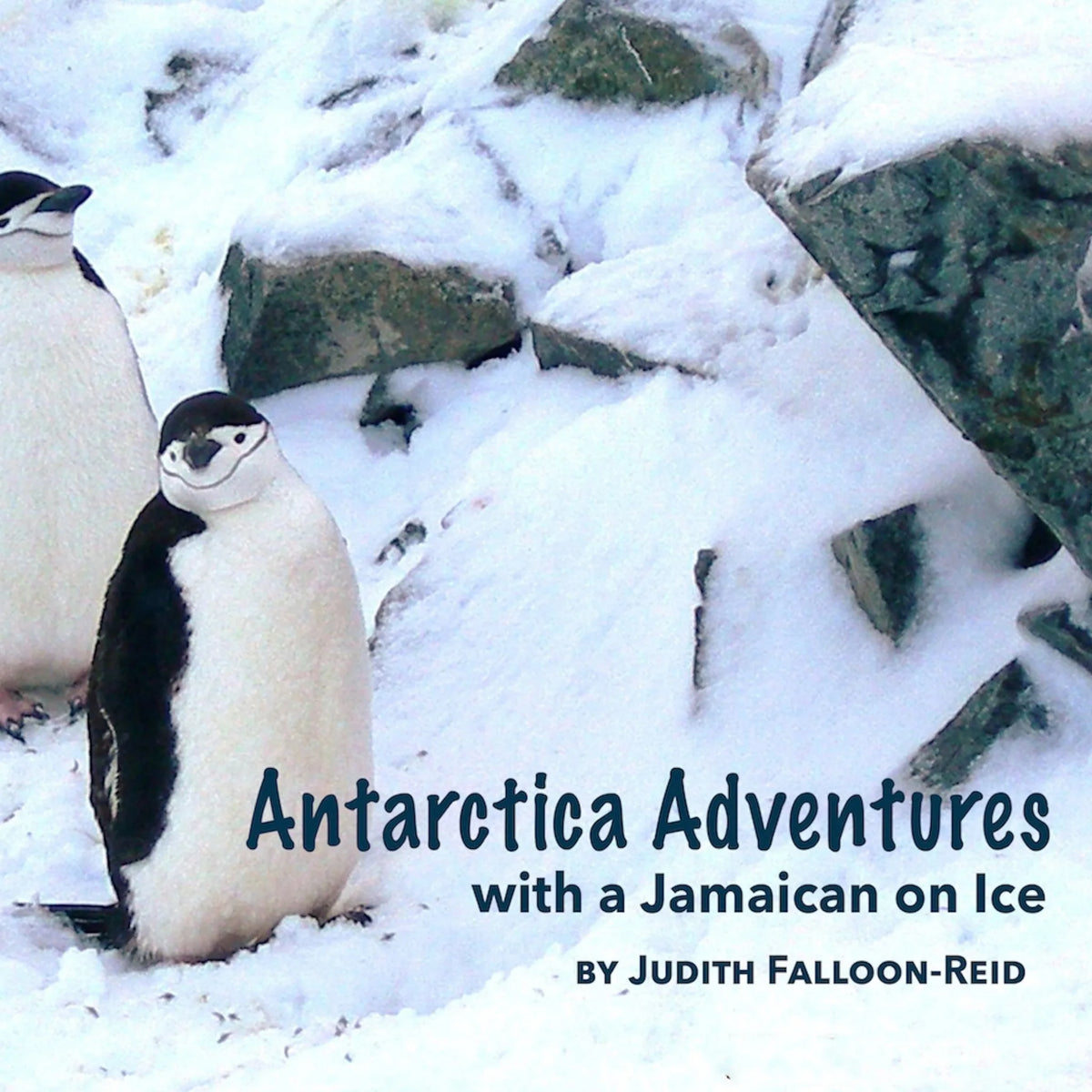 Antarctica Adventures with a Jamaican on Ice