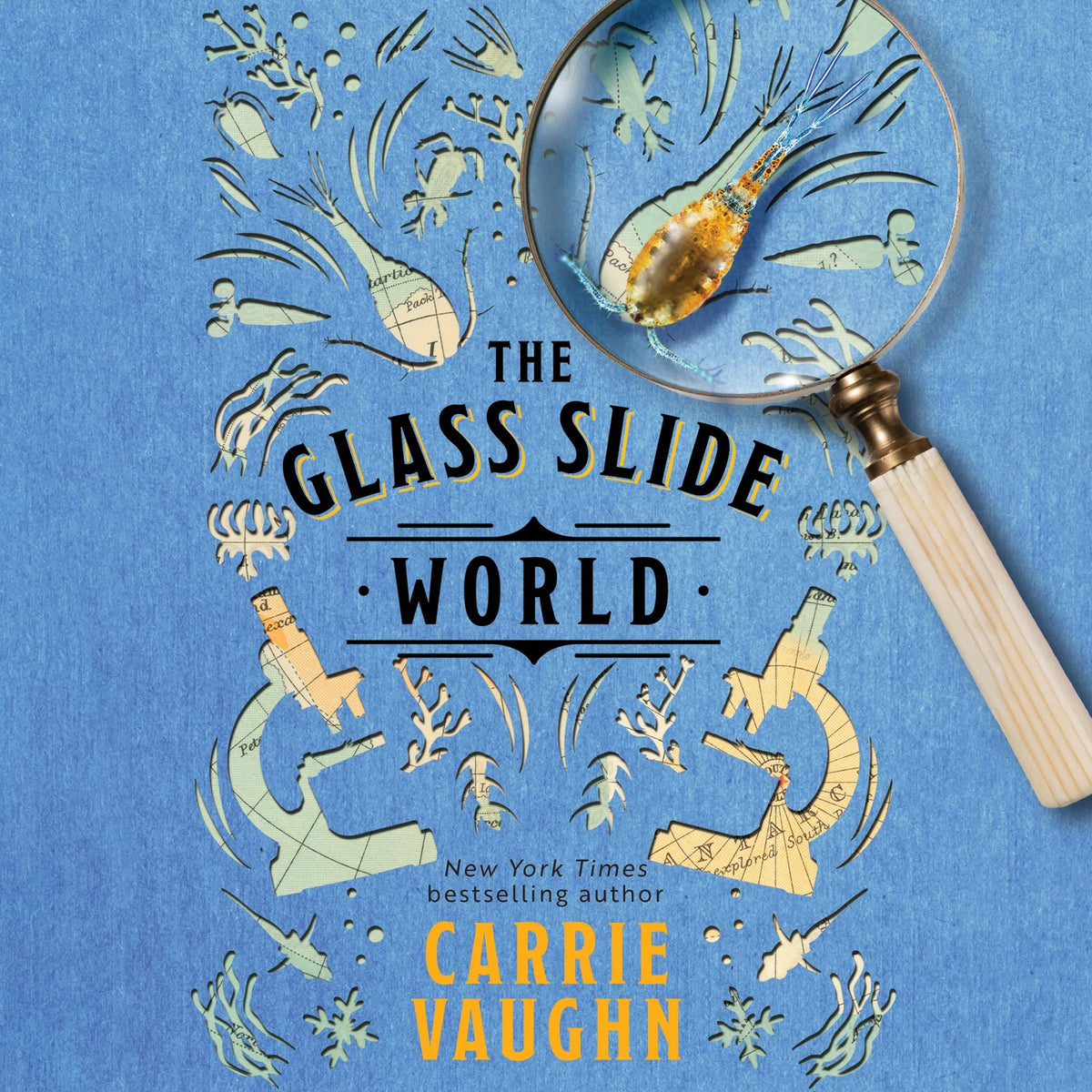The Glass Slide World