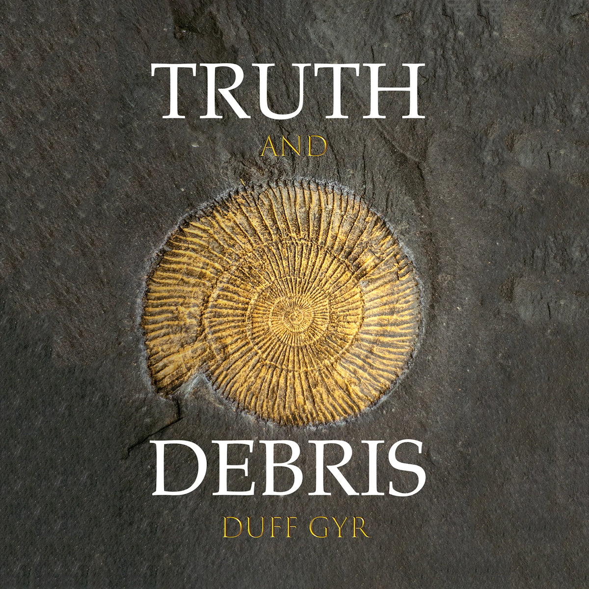 Truth and Debris