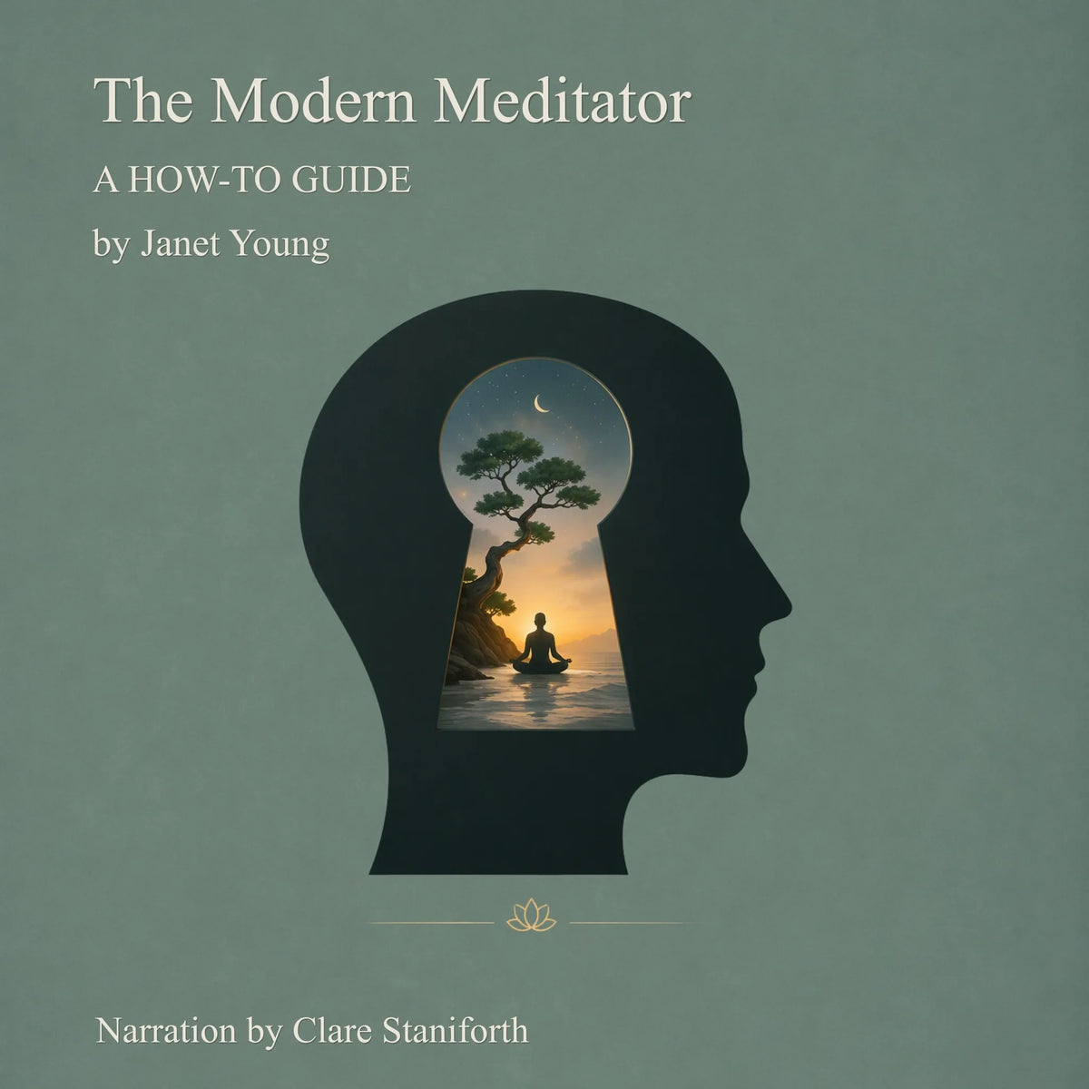 The Modern Meditator
