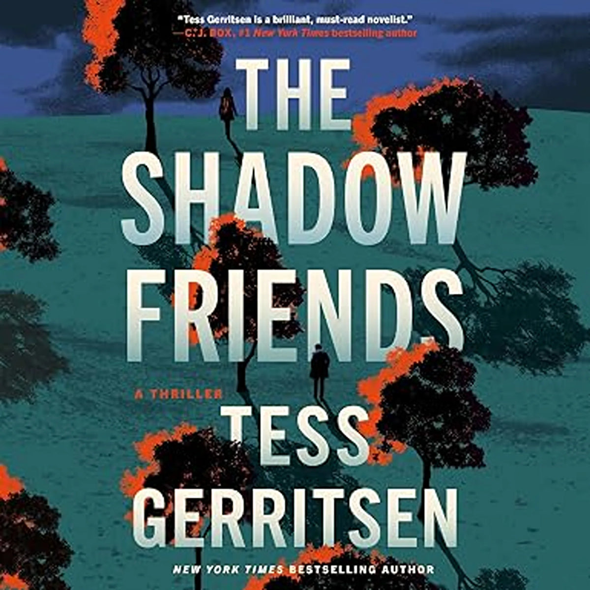 The Shadow Friends