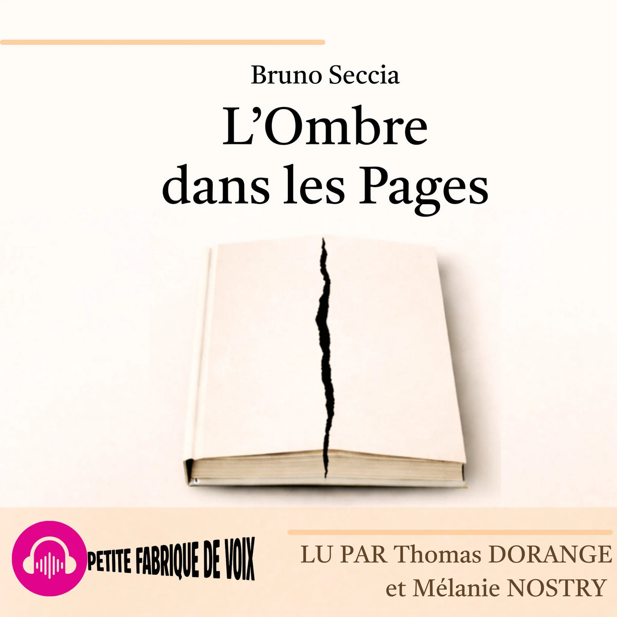 L'ombre dans les pages