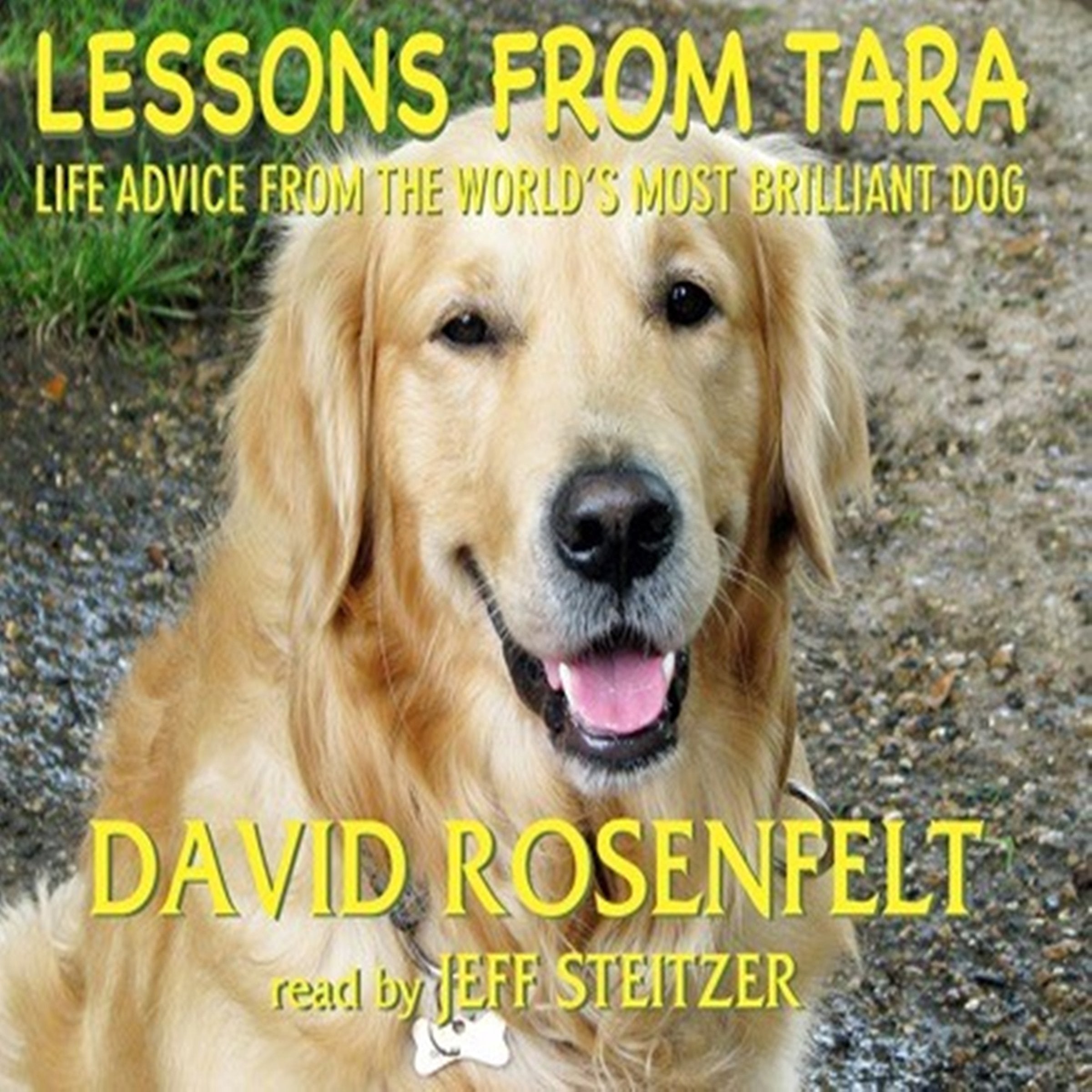 Lessons from Tara