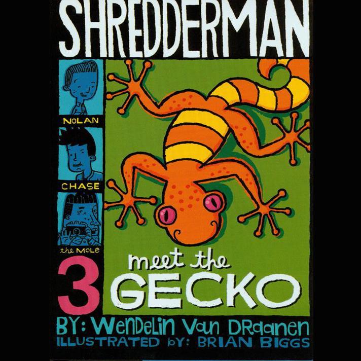 Meet the Gecko