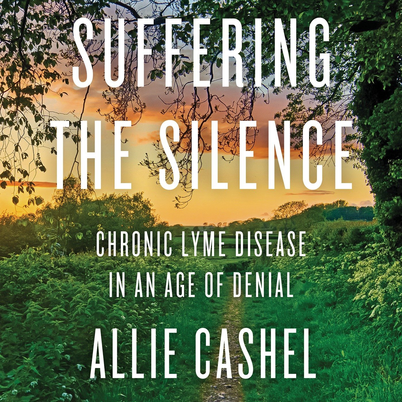 Suffering the Silence