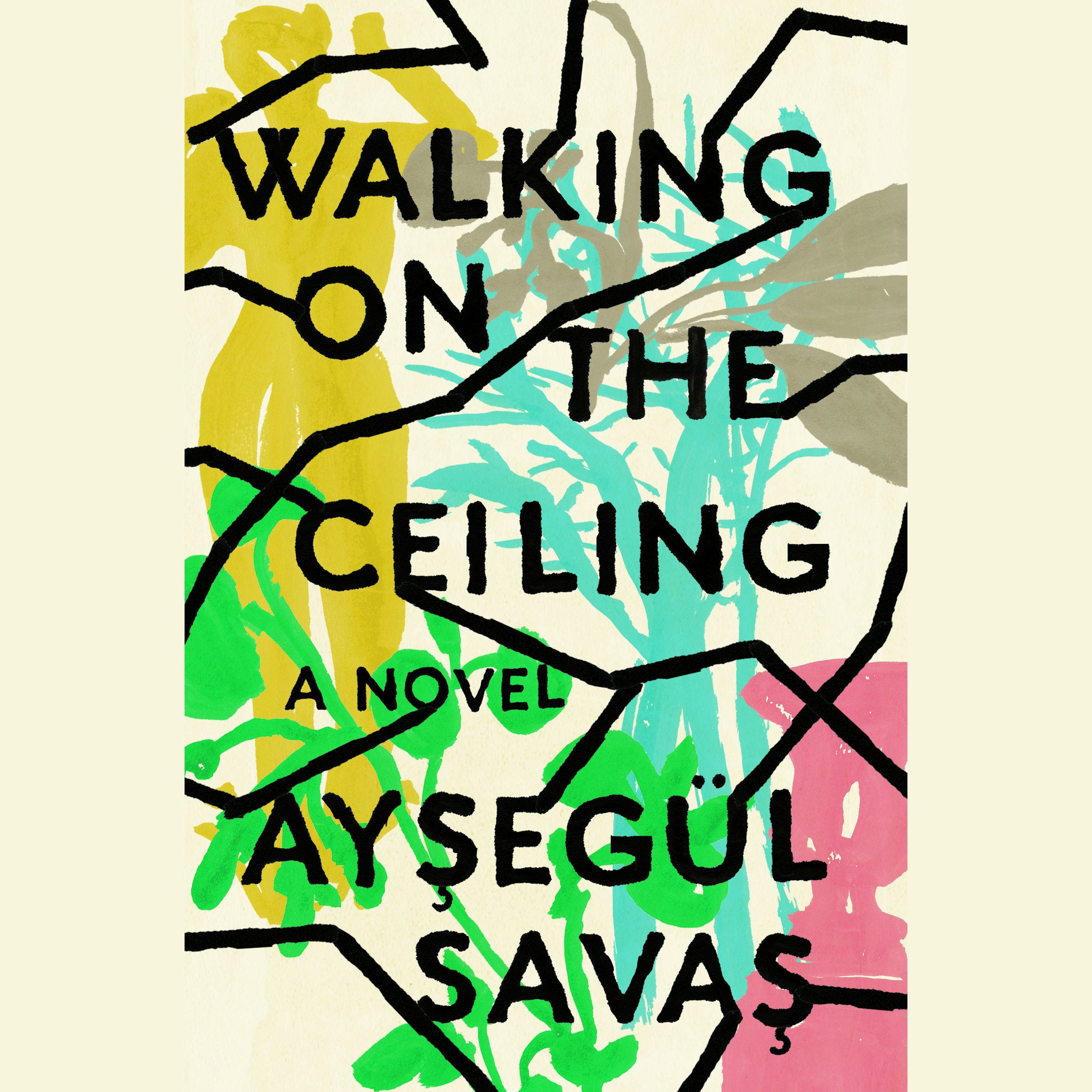 Walking on the Ceiling