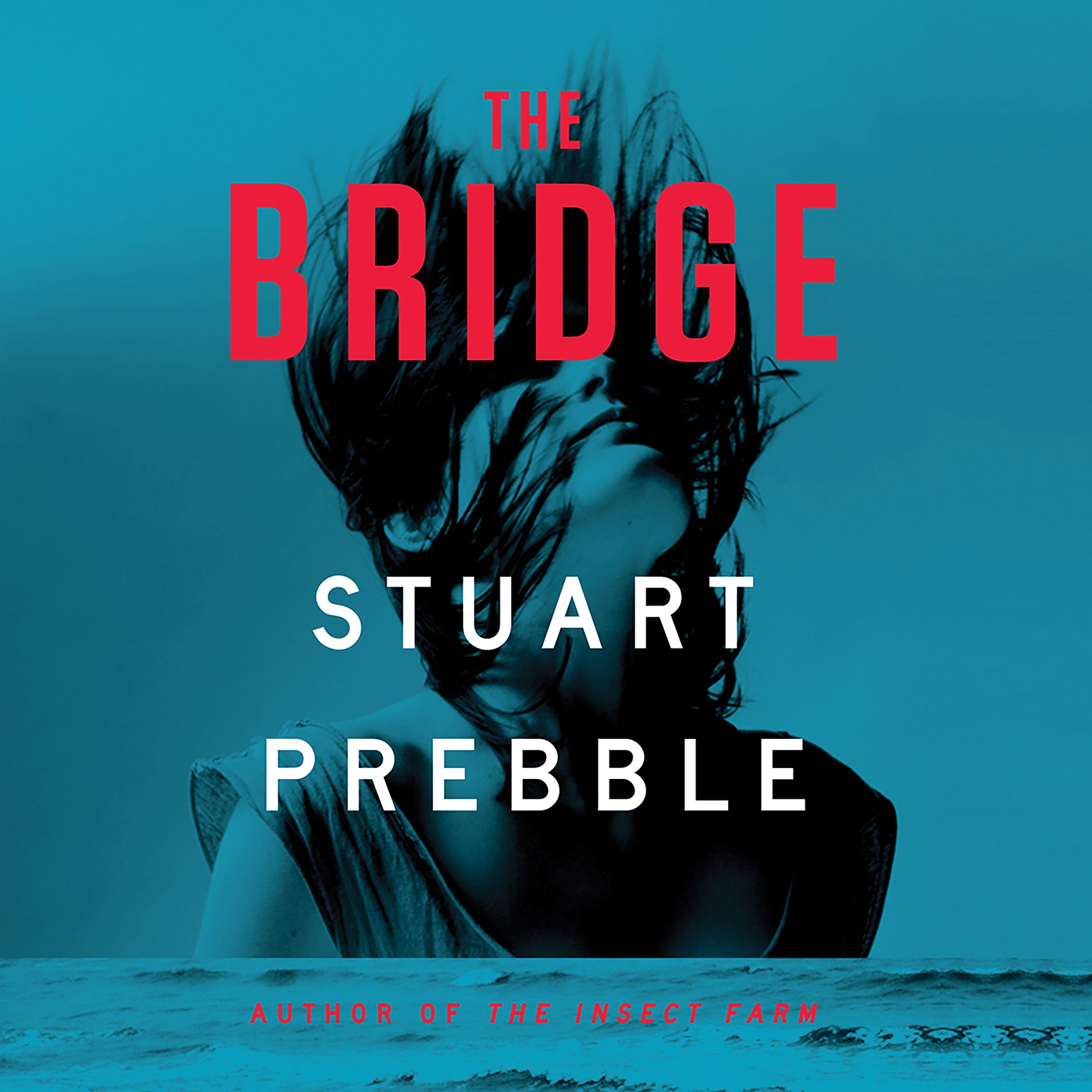 The Bridge