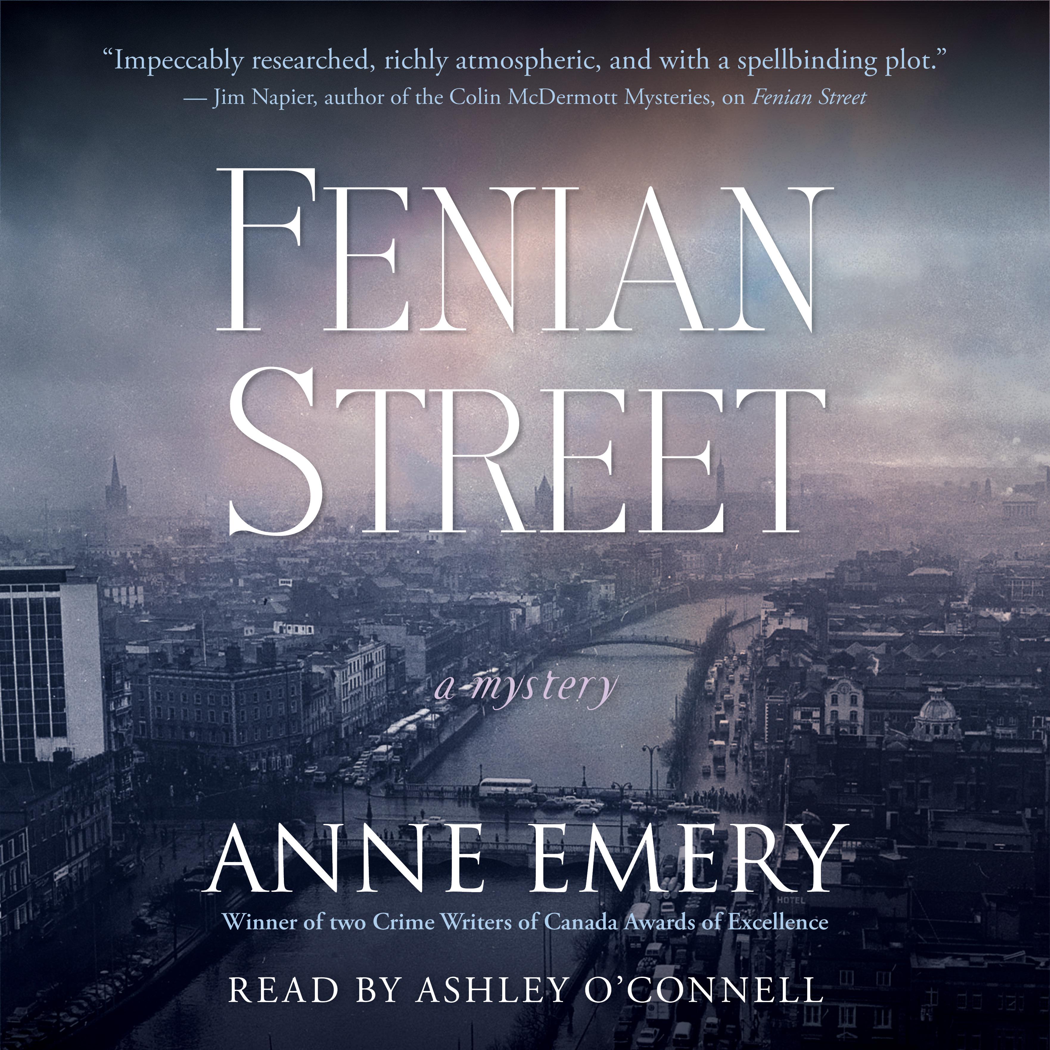 Fenian Street