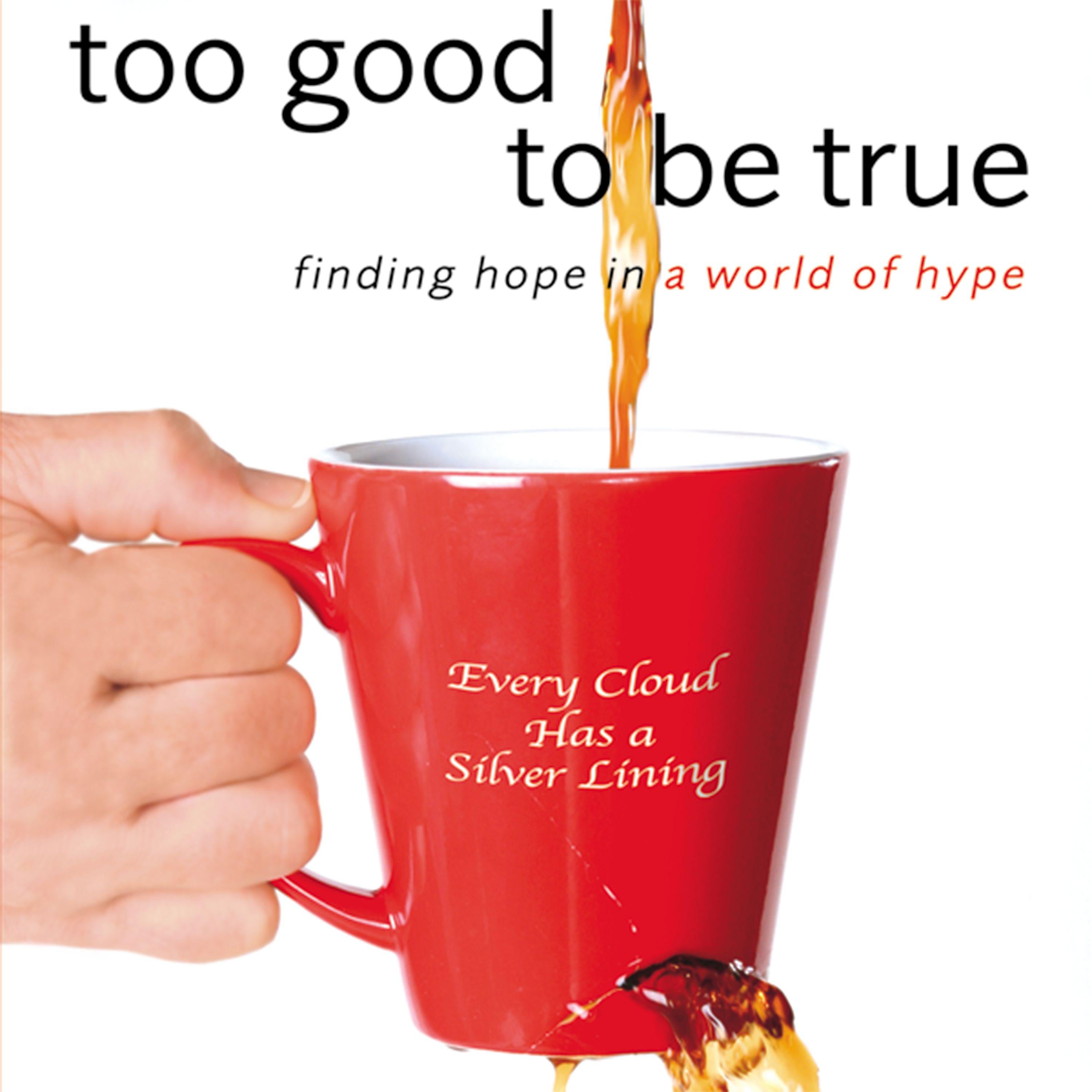 Too Good to Be True