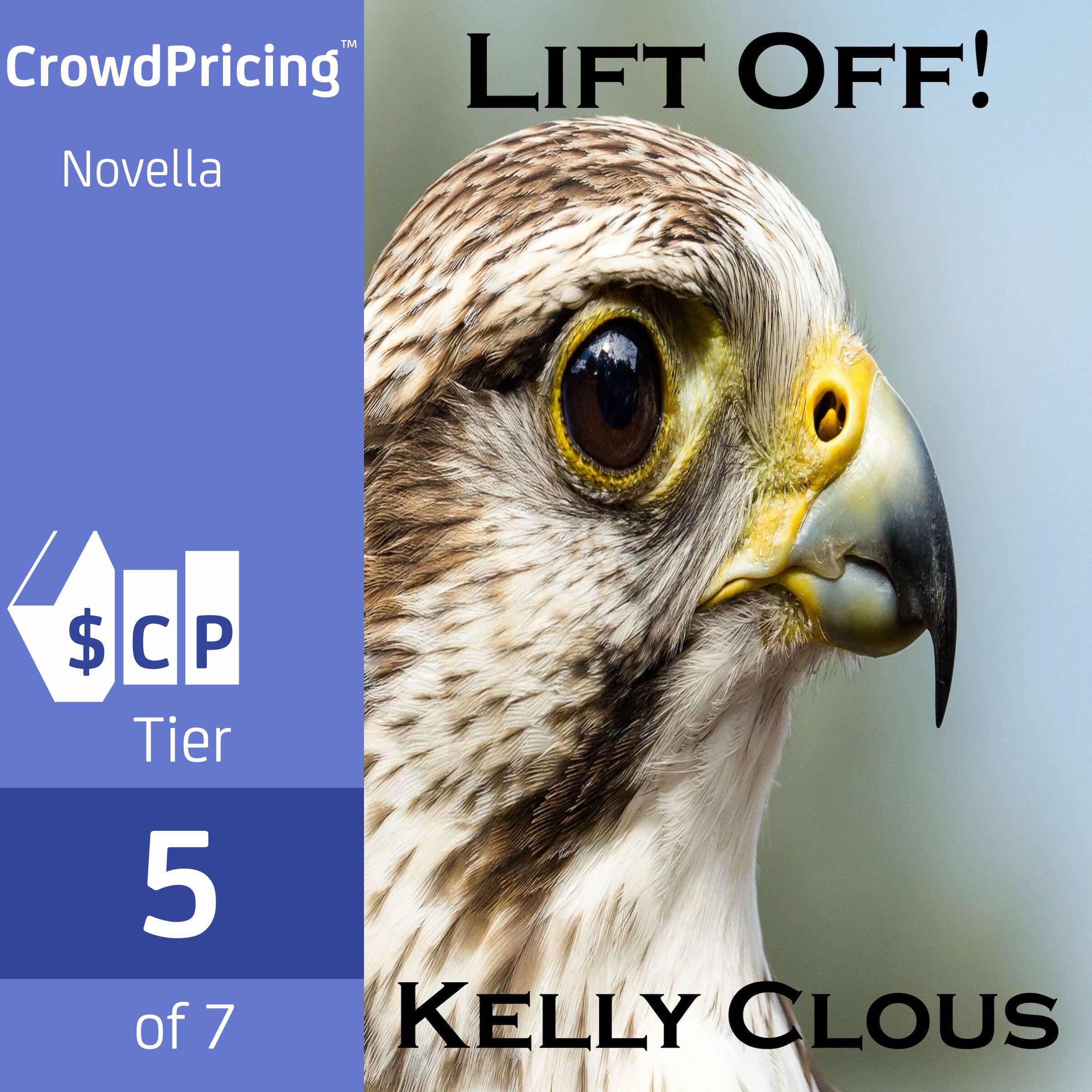 Lift Off !: Falcon Edition, Book One of the Fire and Flight Series