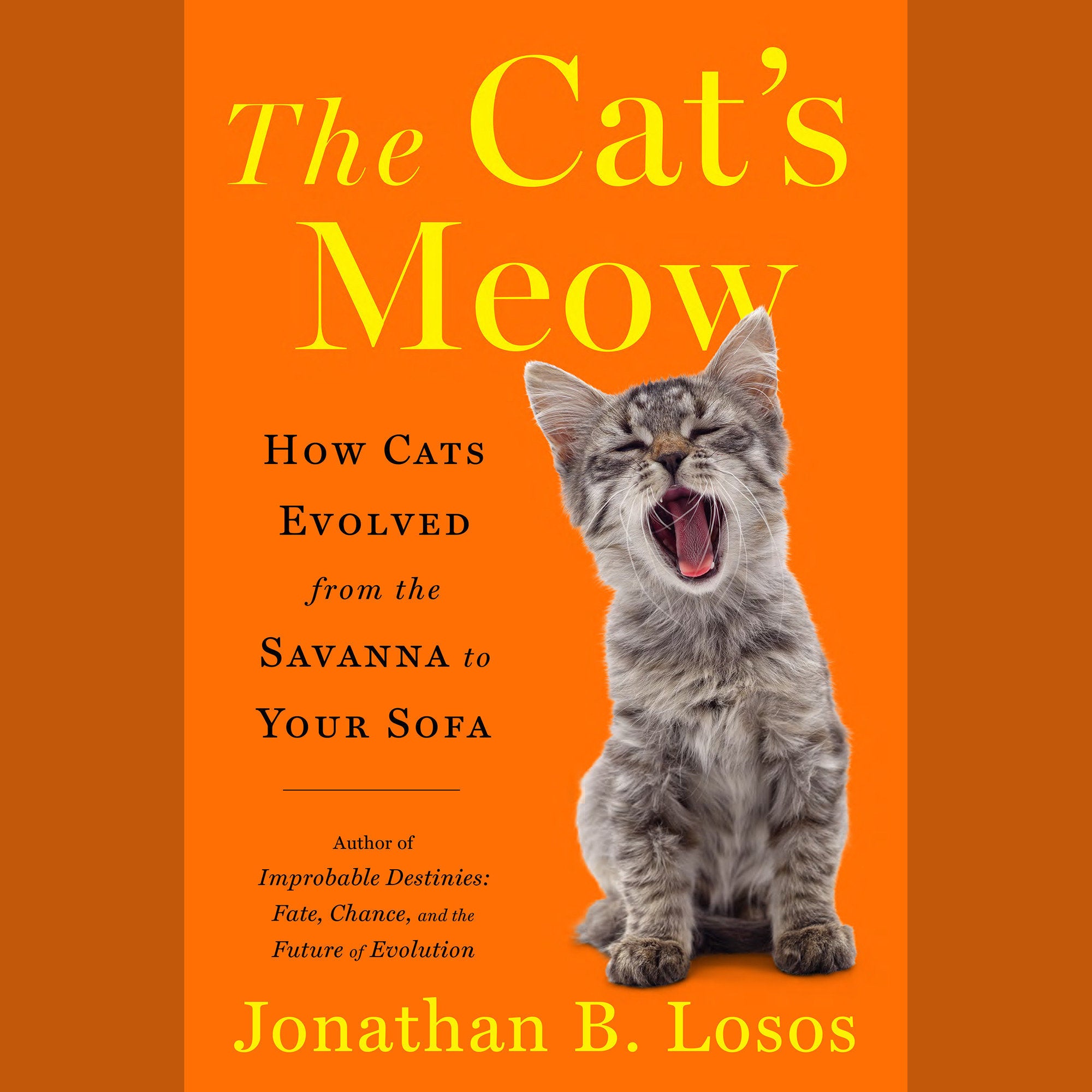 The Cat's Meow
