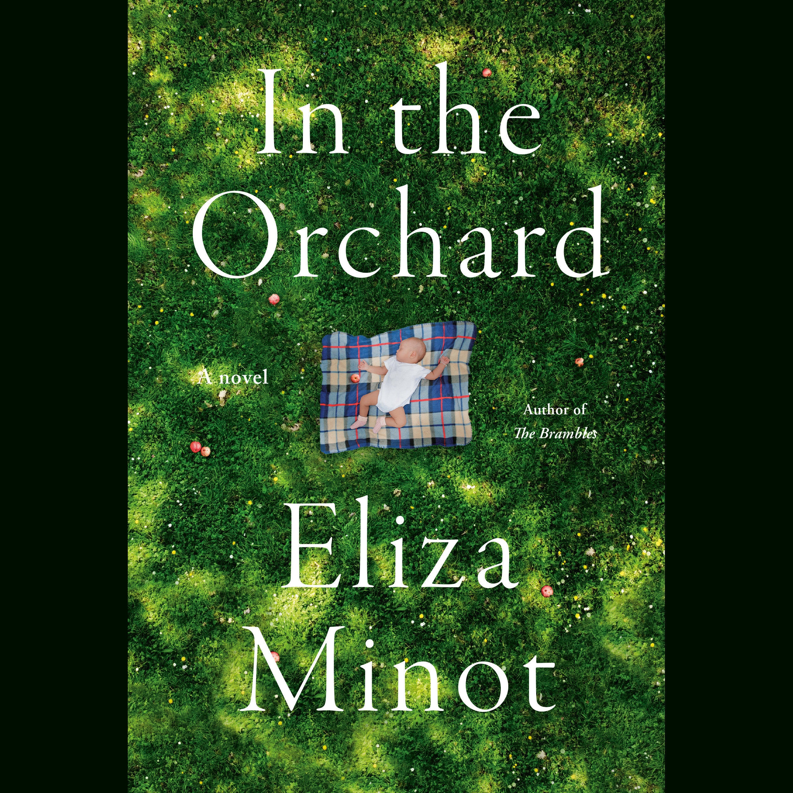 In the Orchard