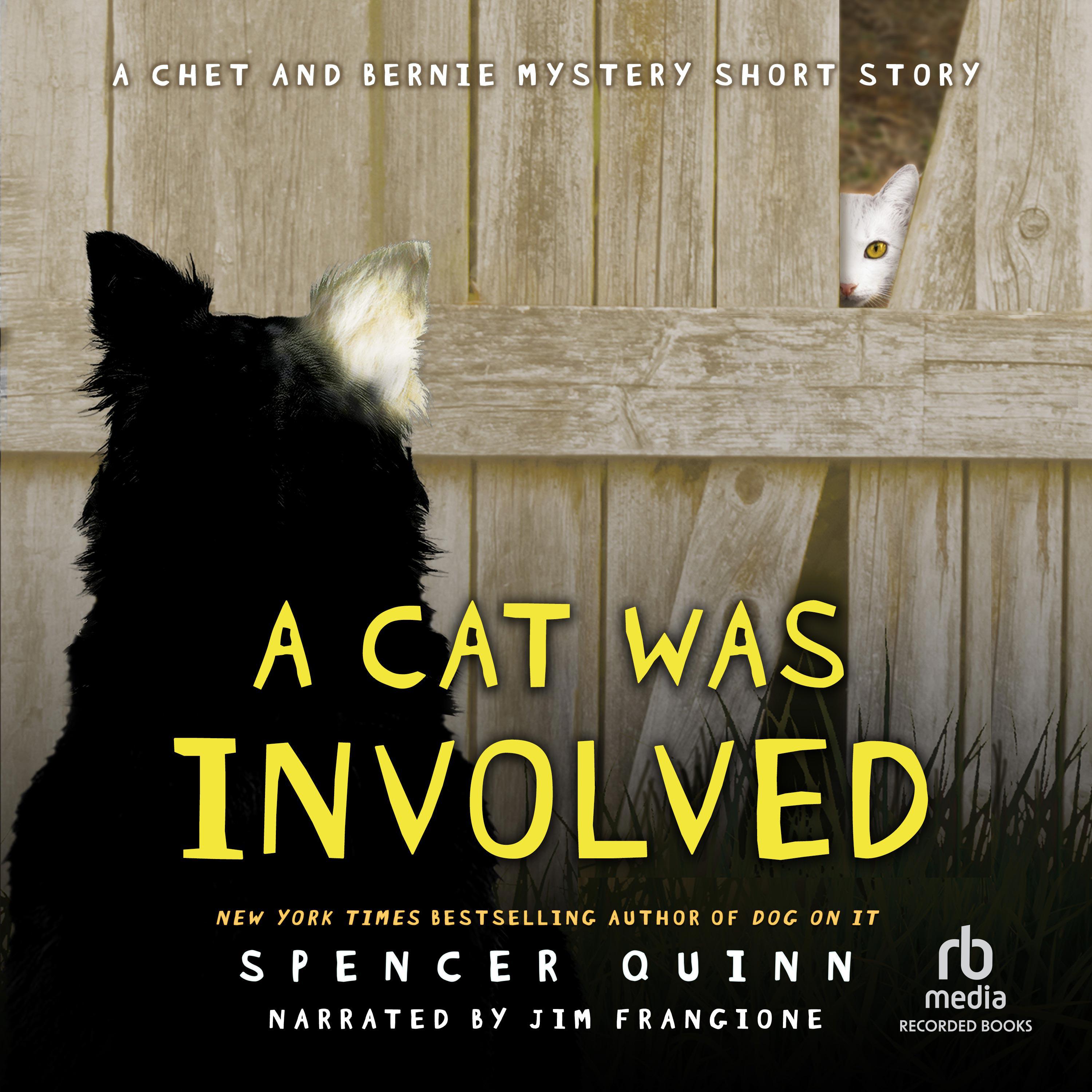 A Cat Was Involved