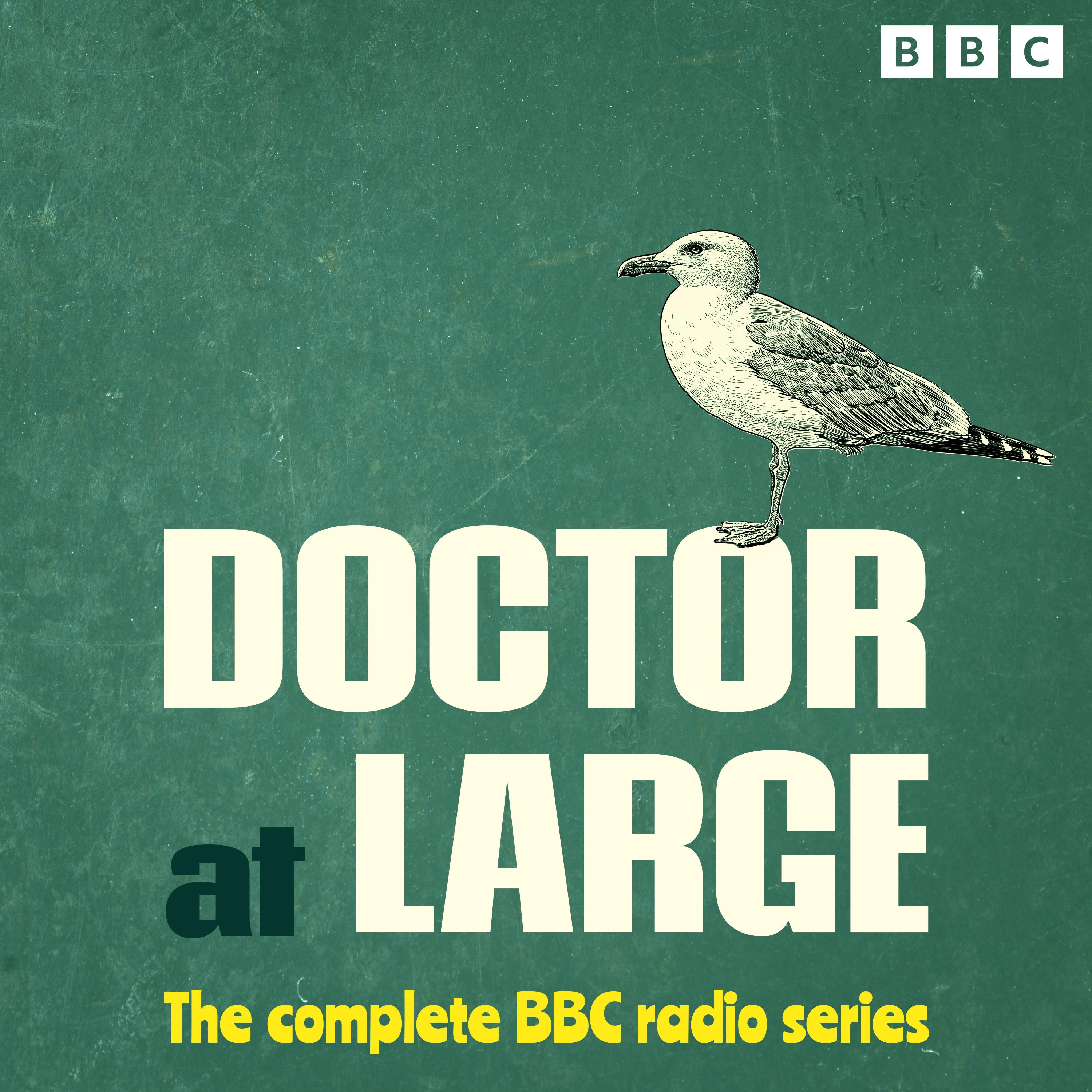 Doctor at Large