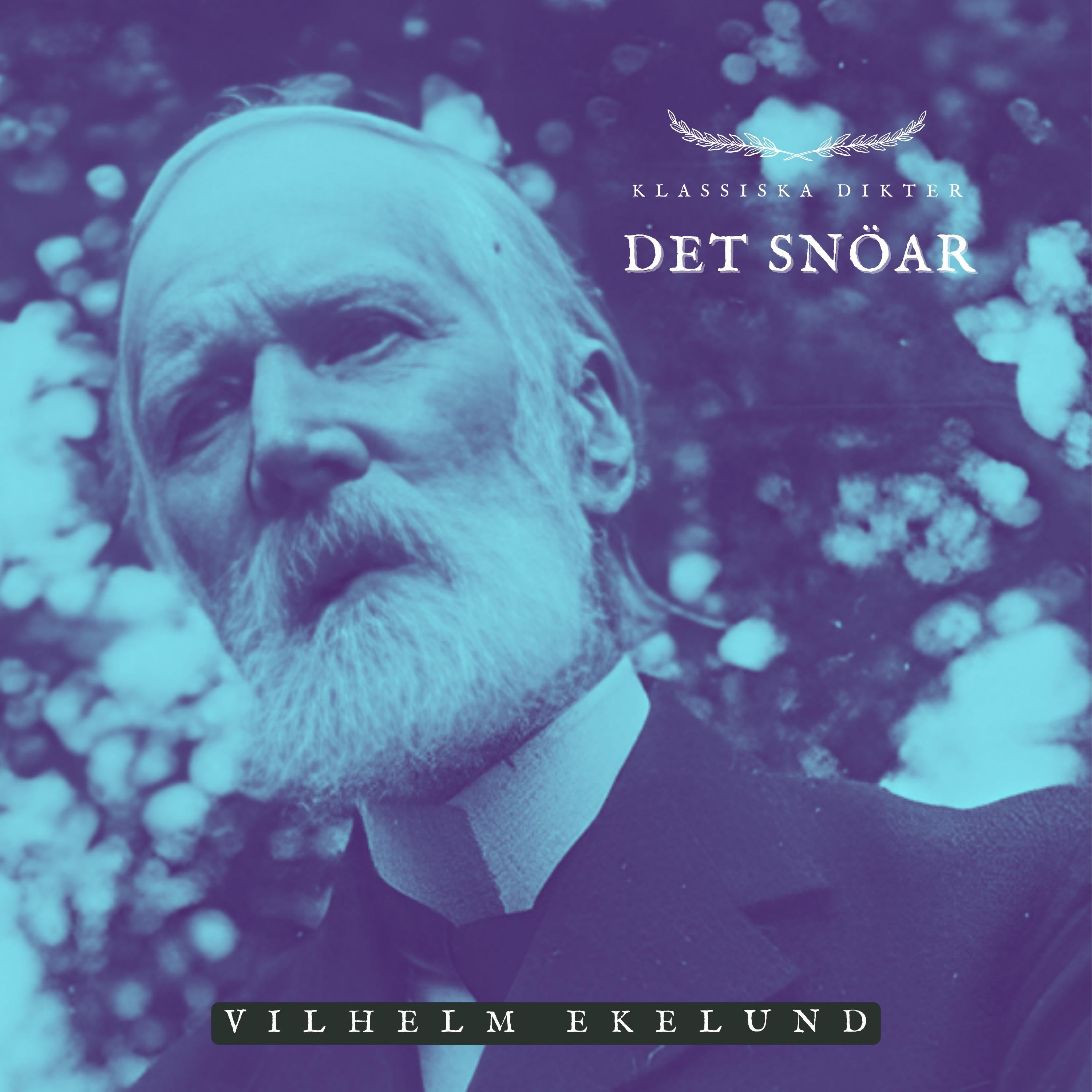 Det snöar