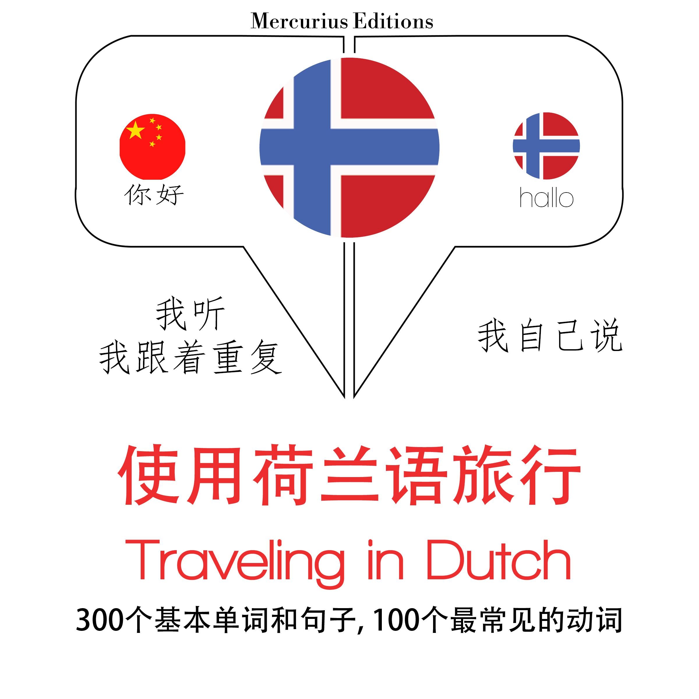 旅行在荷兰